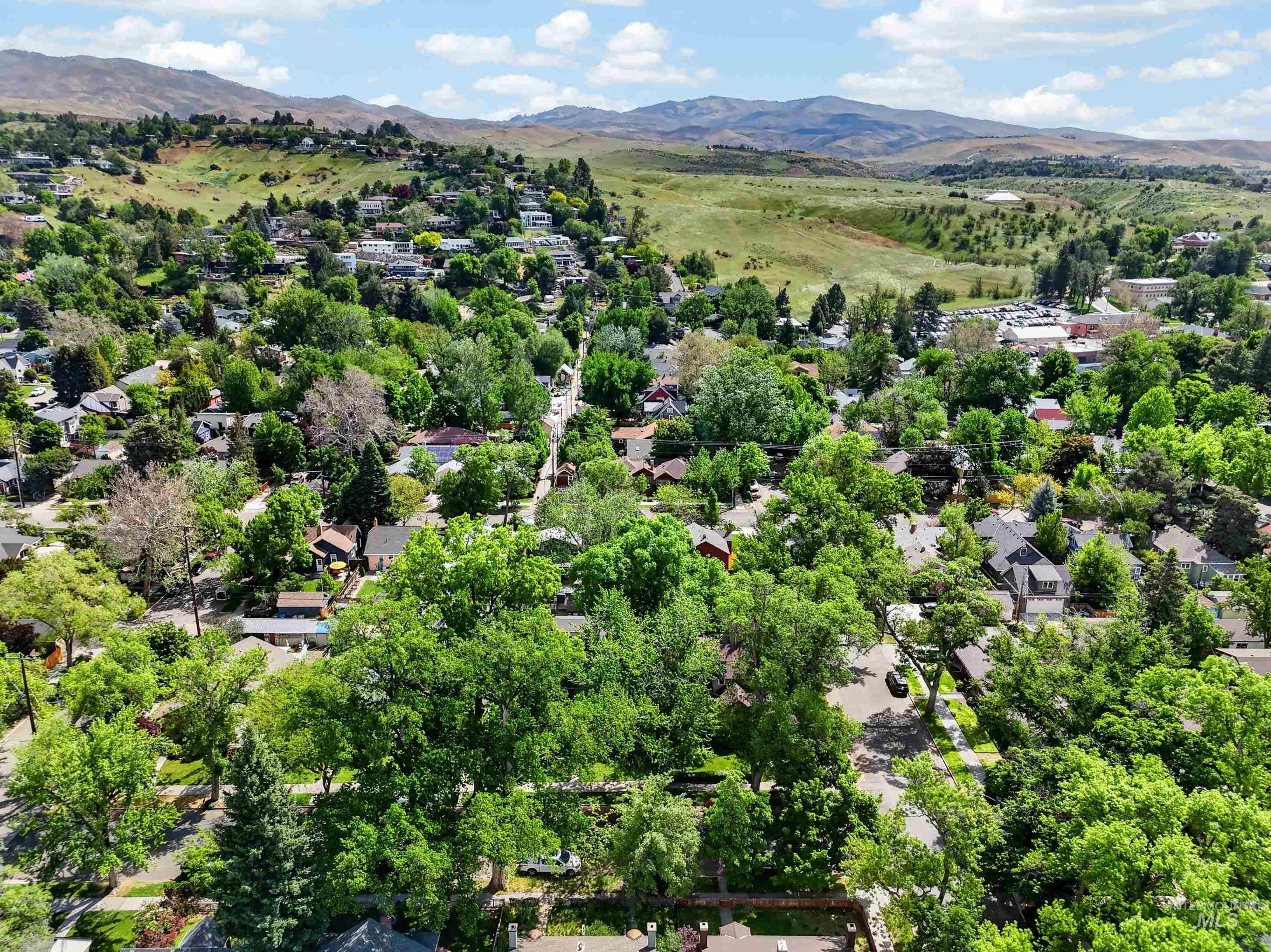 1110 N 6th Street, Boise, Idaho 83702, 4 Bedrooms, 3 Bathrooms, Residential For Sale, Price $1,100,000, 98986167