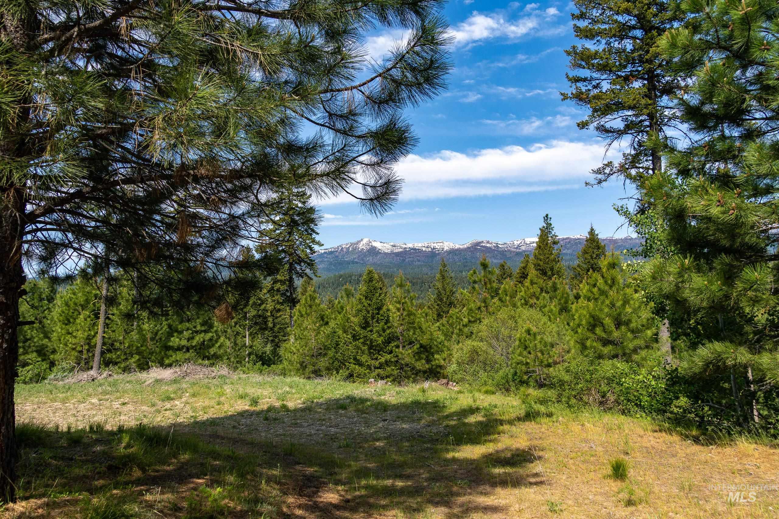 Lot 14 Block 3 Carol Court, Cascade, Idaho 83611, Land For Sale, Price $260,000, 98986207
