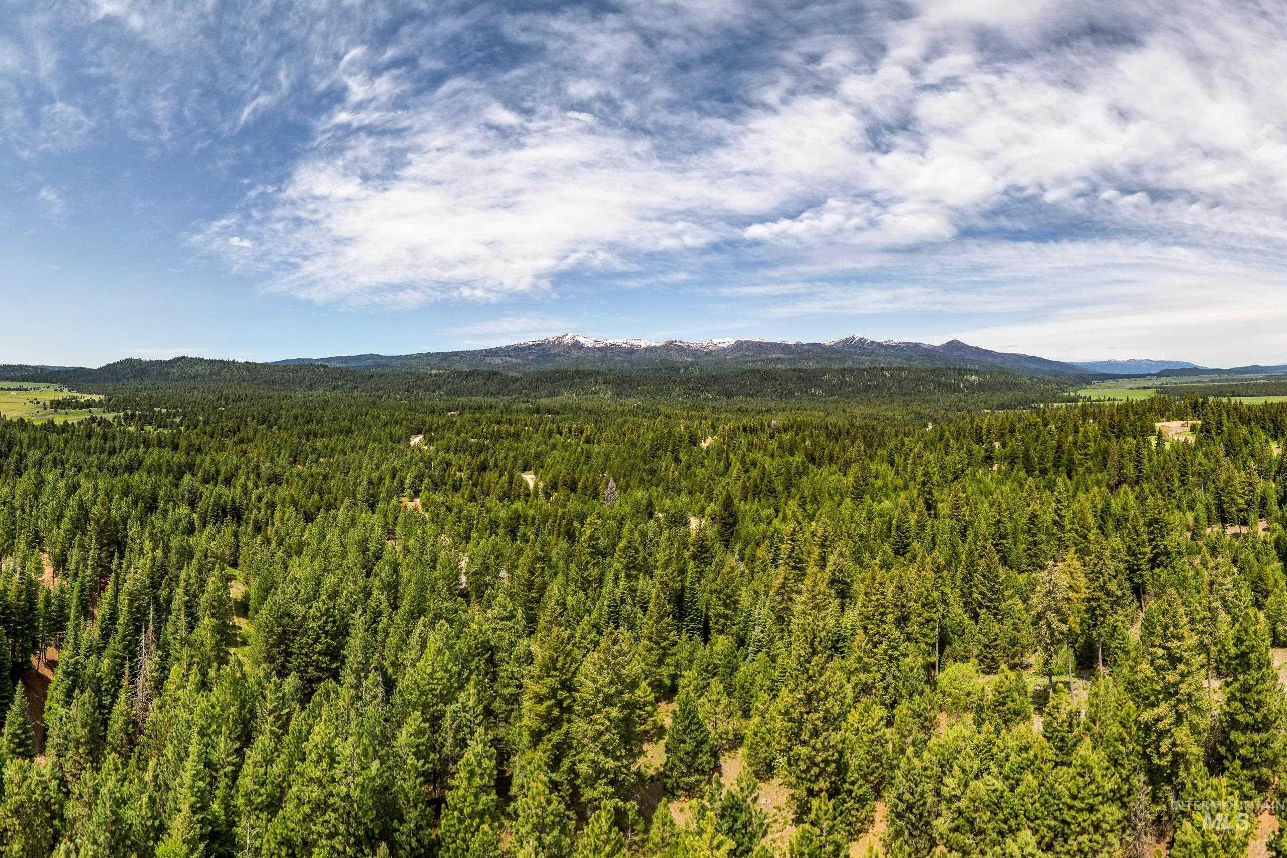 Lot 14 Block 3 Carol Court, Cascade, Idaho 83611, Land For Sale, Price $260,000, 98986207