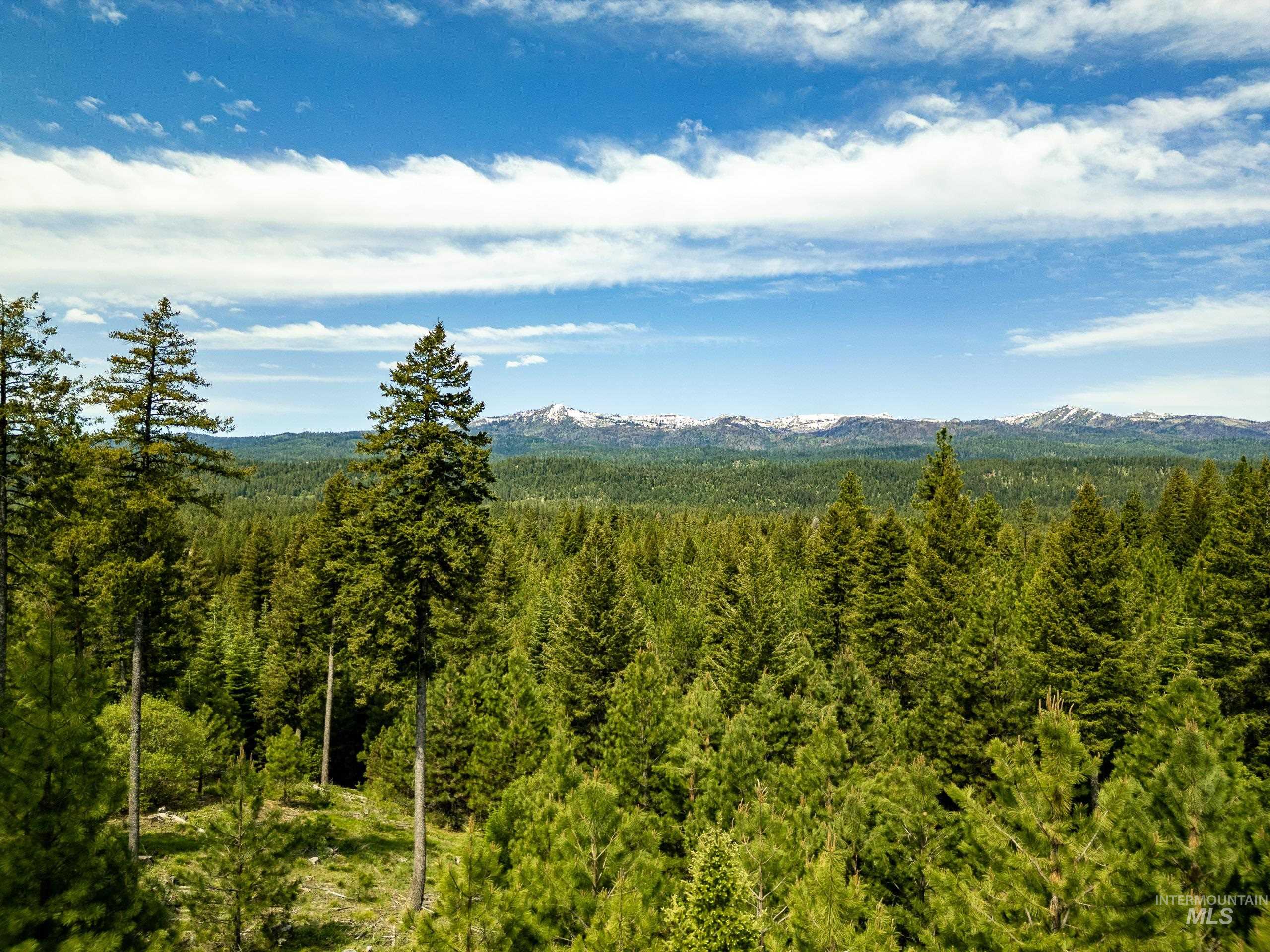 Lot 14 Block 3 Carol Court, Cascade, Idaho 83611, Land For Sale, Price $260,000, 98986207