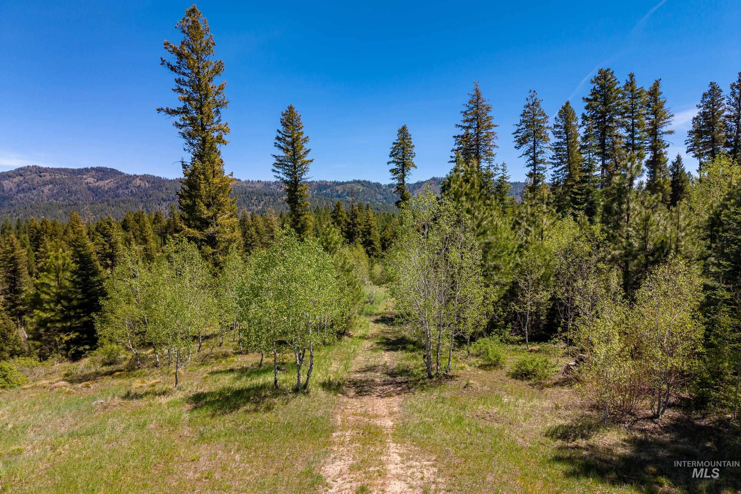 9 Urban Ln, Cascade, Idaho 83611, Land For Sale, Price $345,000,MLS 98986255