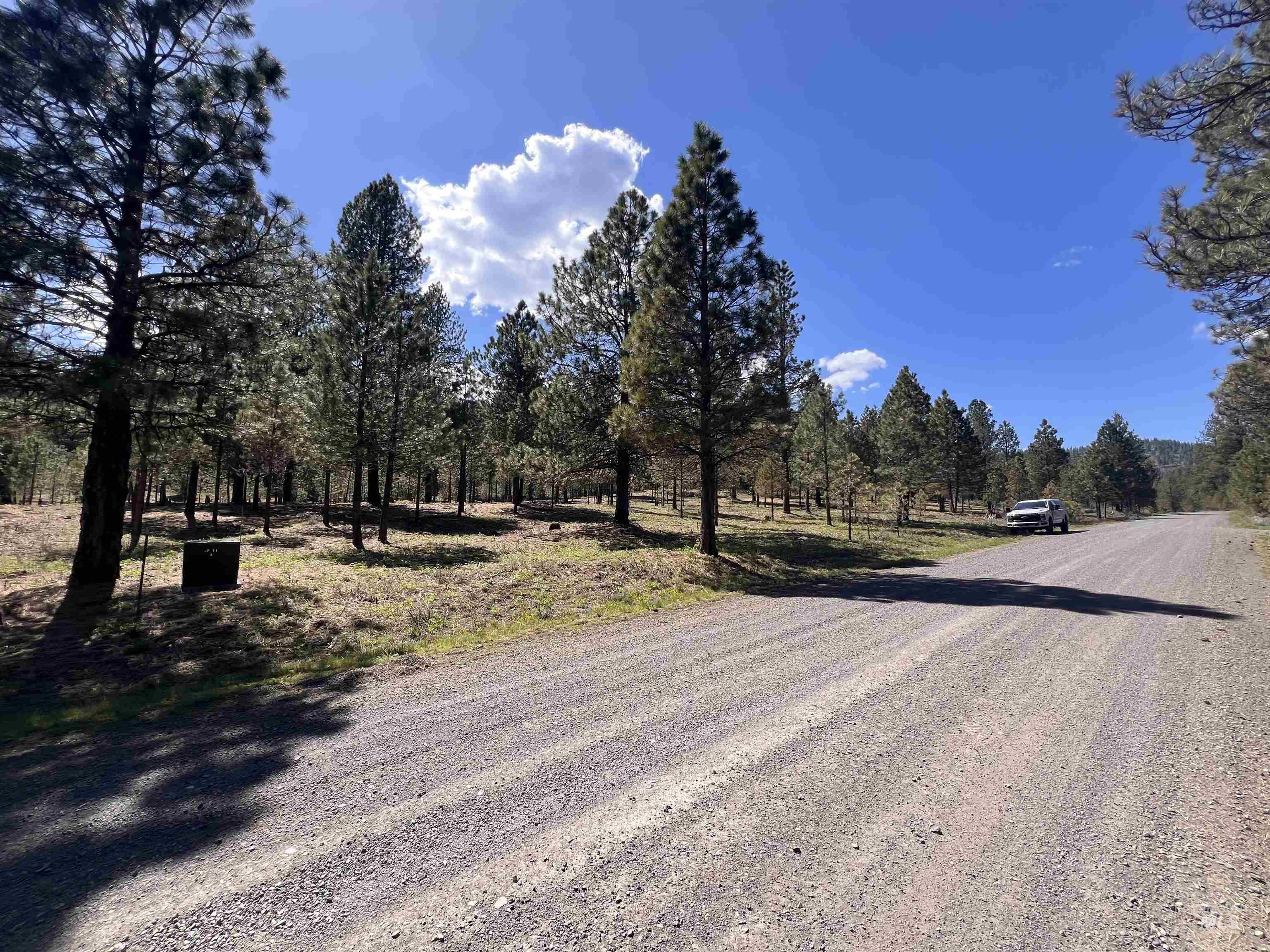 Lot 44 Old HWY 95, New Meadows, Idaho 83654, Land For Sale, Price $250,000, 98986285