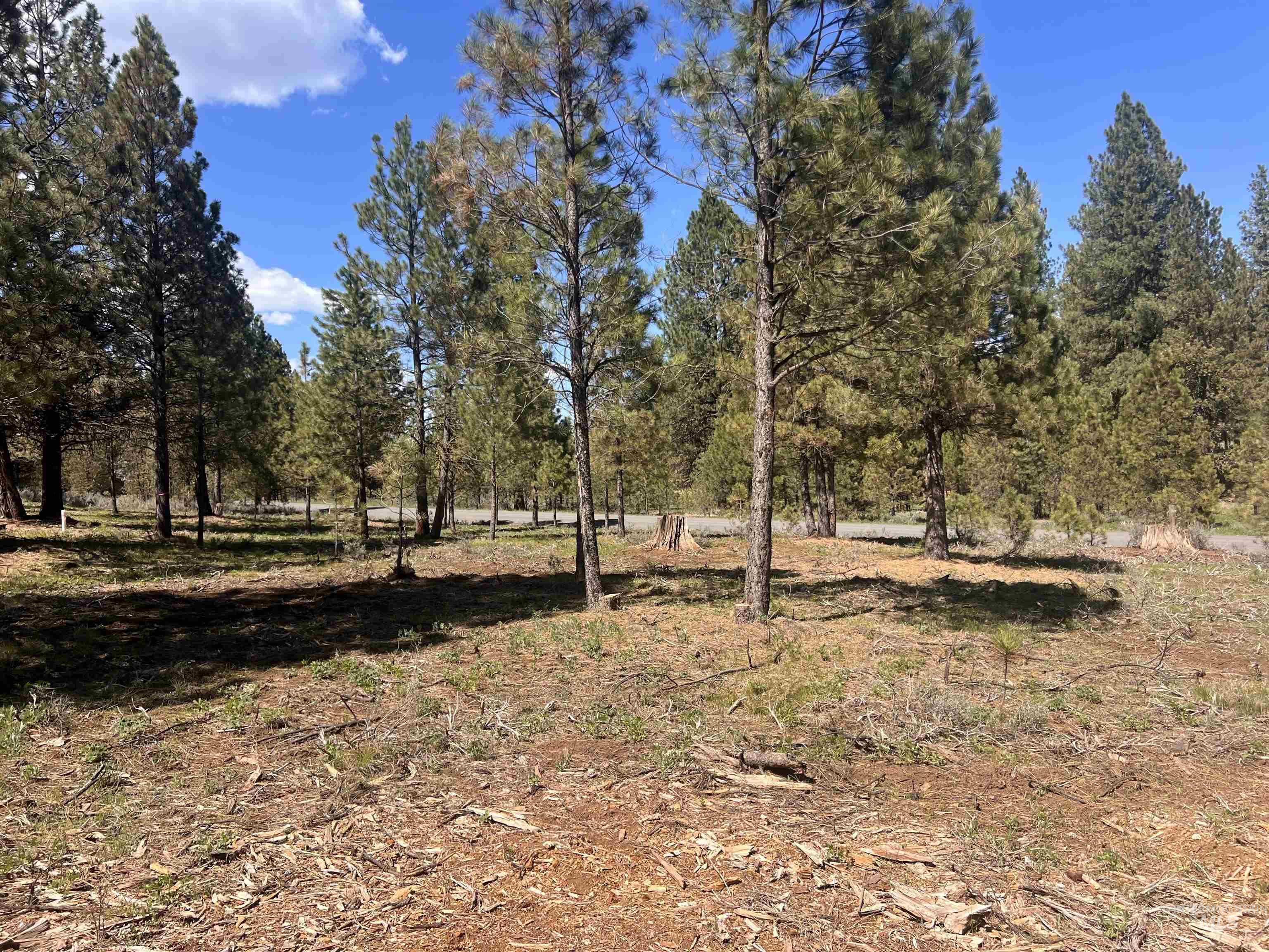 Lot 44 Old HWY 95, New Meadows, Idaho 83654, Land For Sale, Price $250,000, 98986285