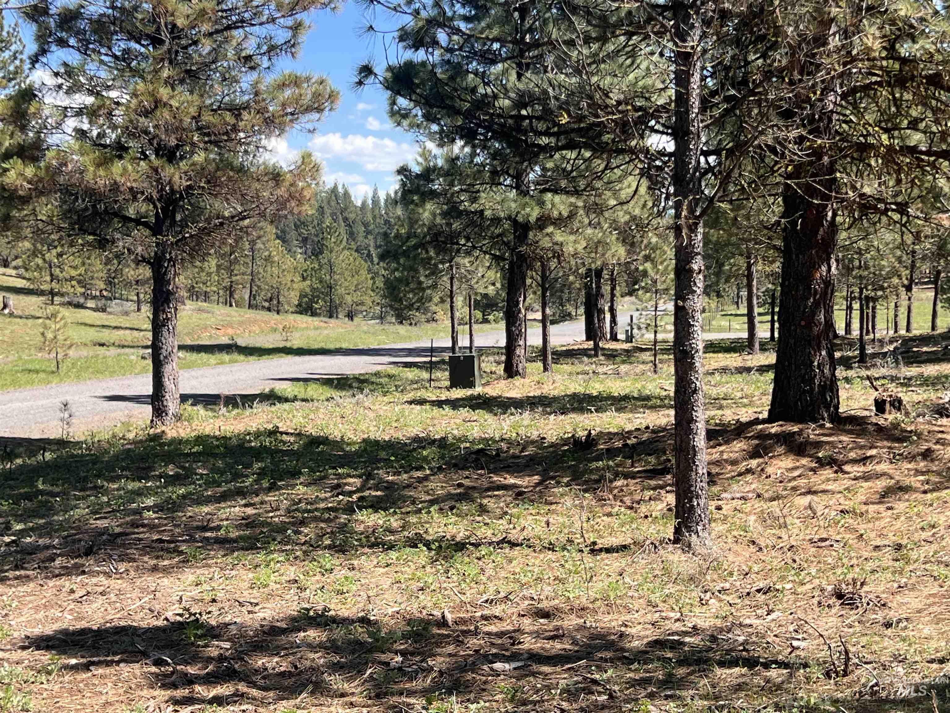 Lot 44 Old HWY 95, New Meadows, Idaho 83654, Land For Sale, Price $250,000, 98986285