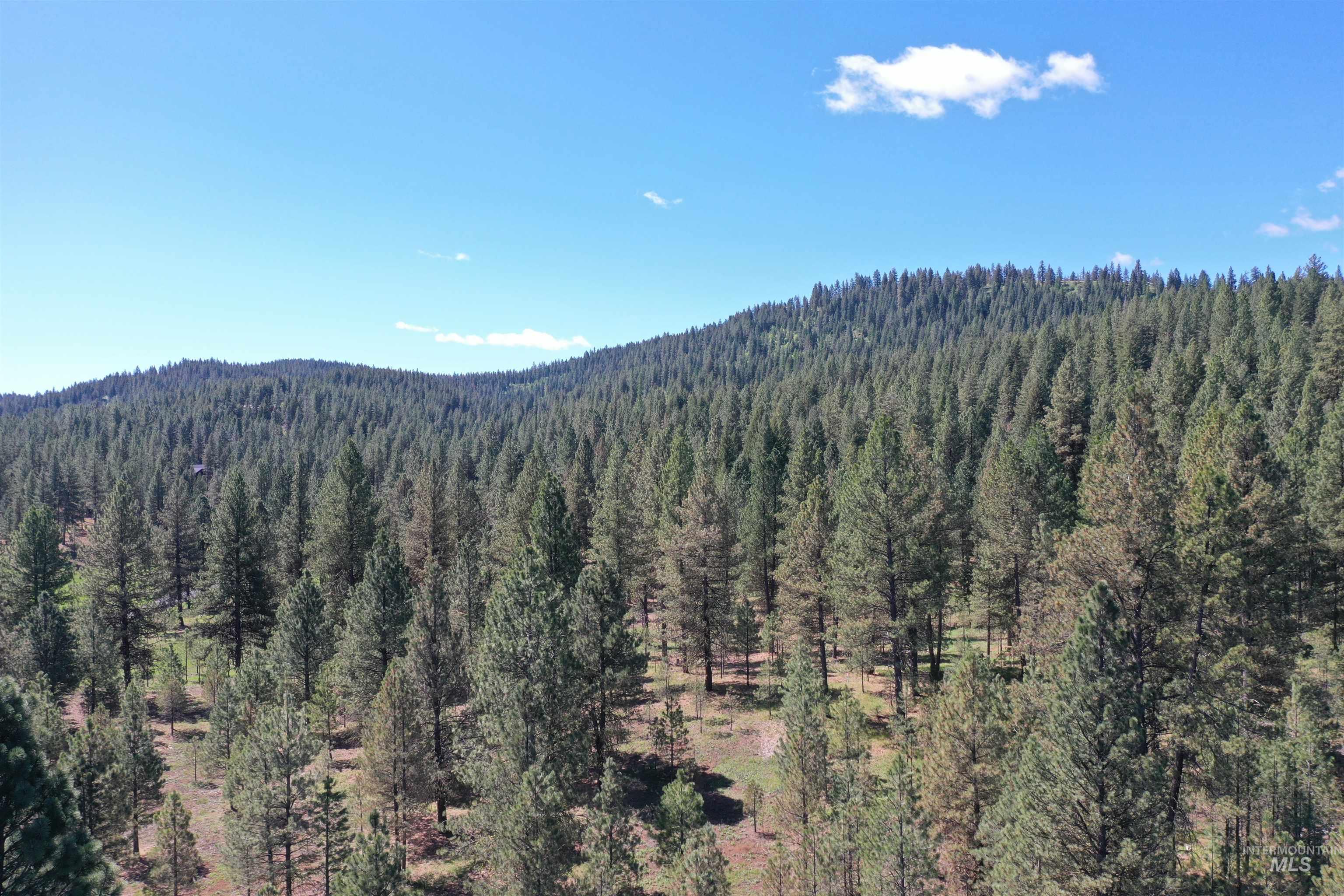 Lot 44 Old HWY 95, New Meadows, Idaho 83654, Land For Sale, Price $250,000, 98986285