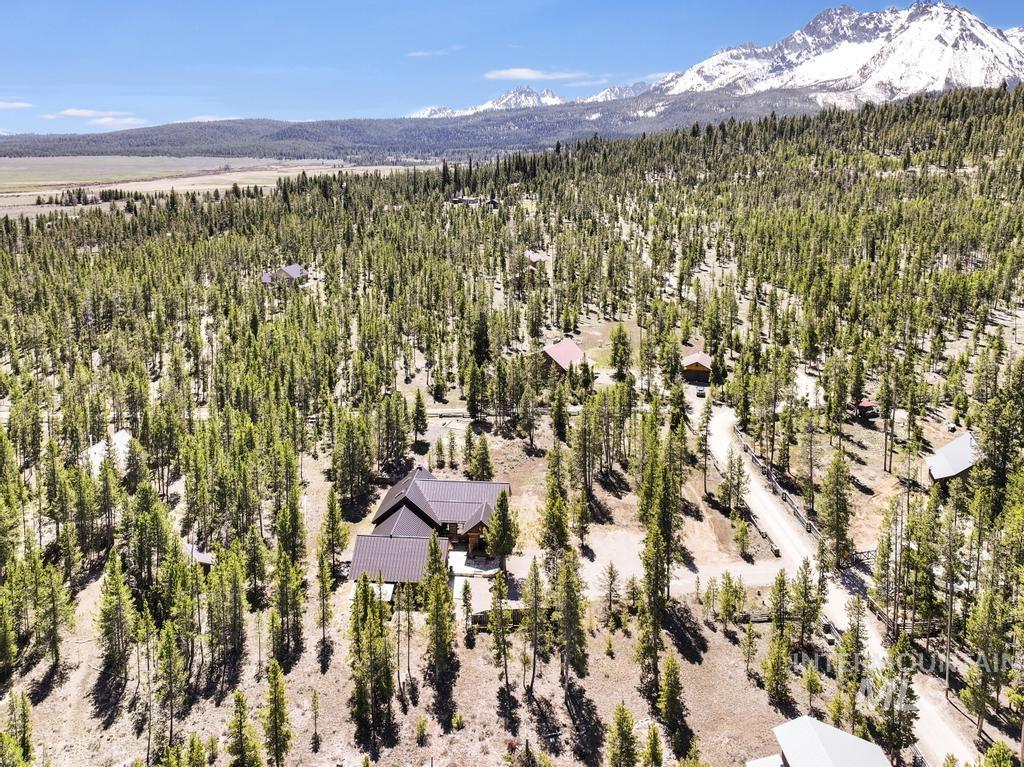 65 Goat Creek Way, Stanley, Idaho 83278, 2 Bedrooms, 3 Bathrooms, Residential For Sale, Price $1,990,000, 98986291