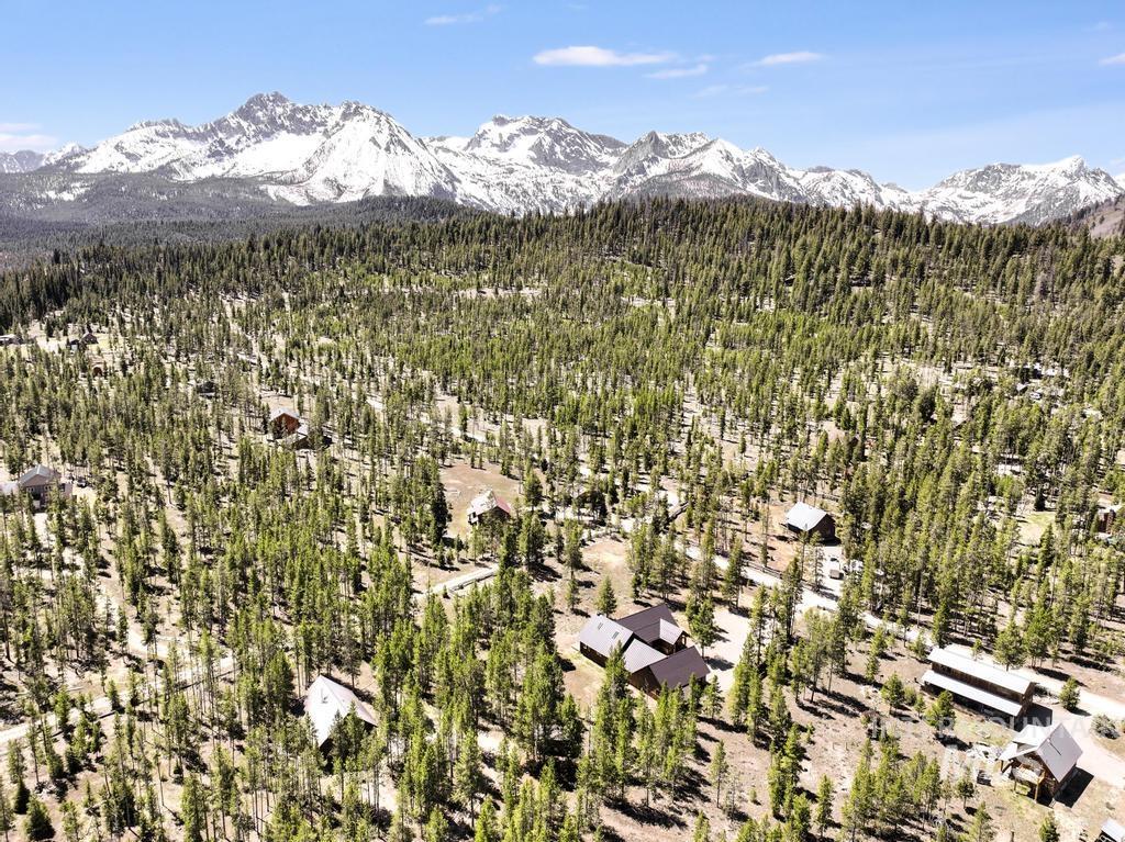 65 Goat Creek Way, Stanley, Idaho 83278, 2 Bedrooms, 3 Bathrooms, Residential For Sale, Price $1,990,000, 98986291