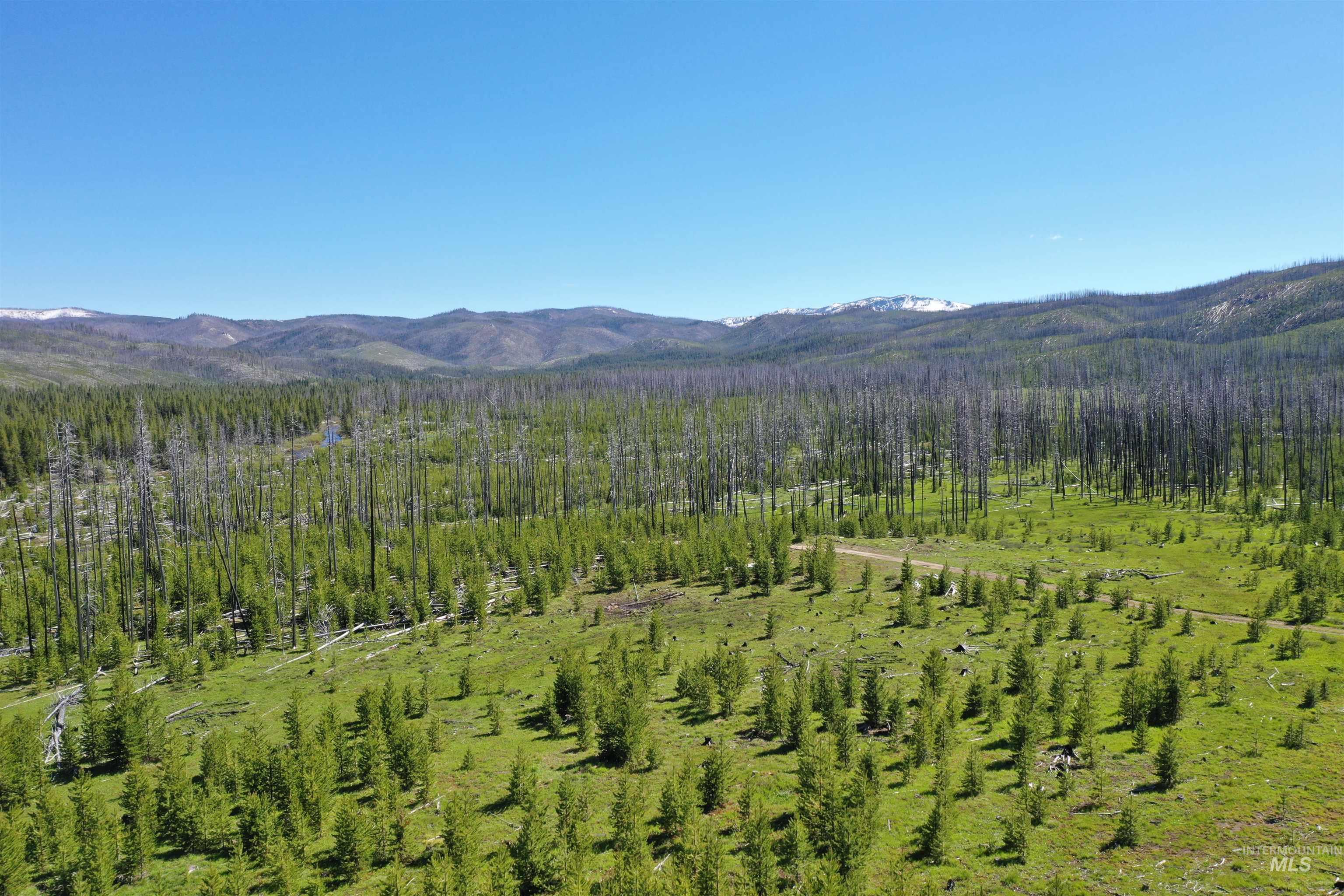 532 Warren Creek Road, Warren, Idaho 83671, 2 Bedrooms, 2 Bathrooms, Residential For Sale, Price $415,000,MLS 98986300