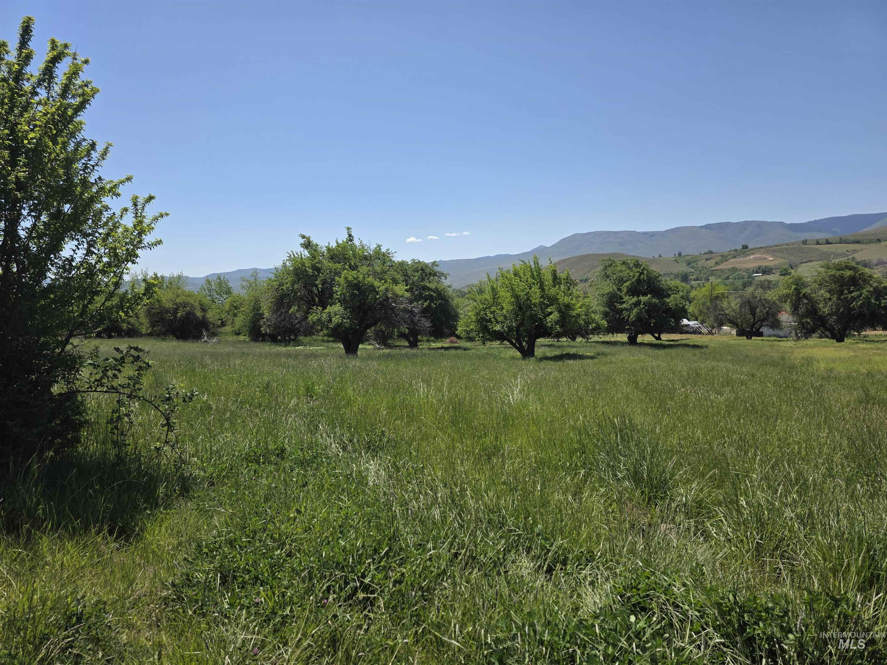 43310 EAGLE CREEK RD, Richland, Oregon 97870, Land For Sale, Price $338,000,MLS 98986309