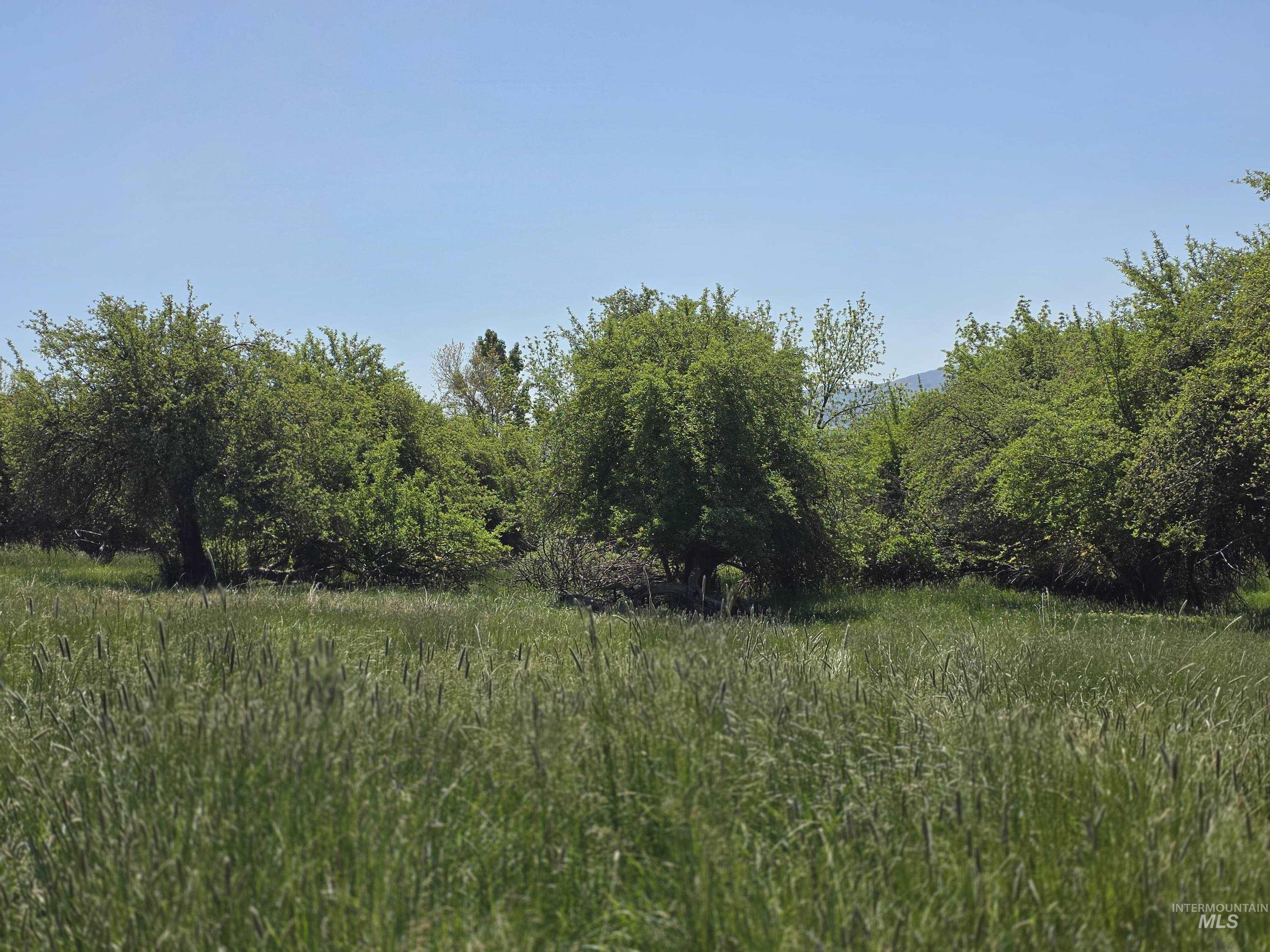 43310 EAGLE CREEK RD, Richland, Oregon 97870, Land For Sale, Price $338,000,MLS 98986309