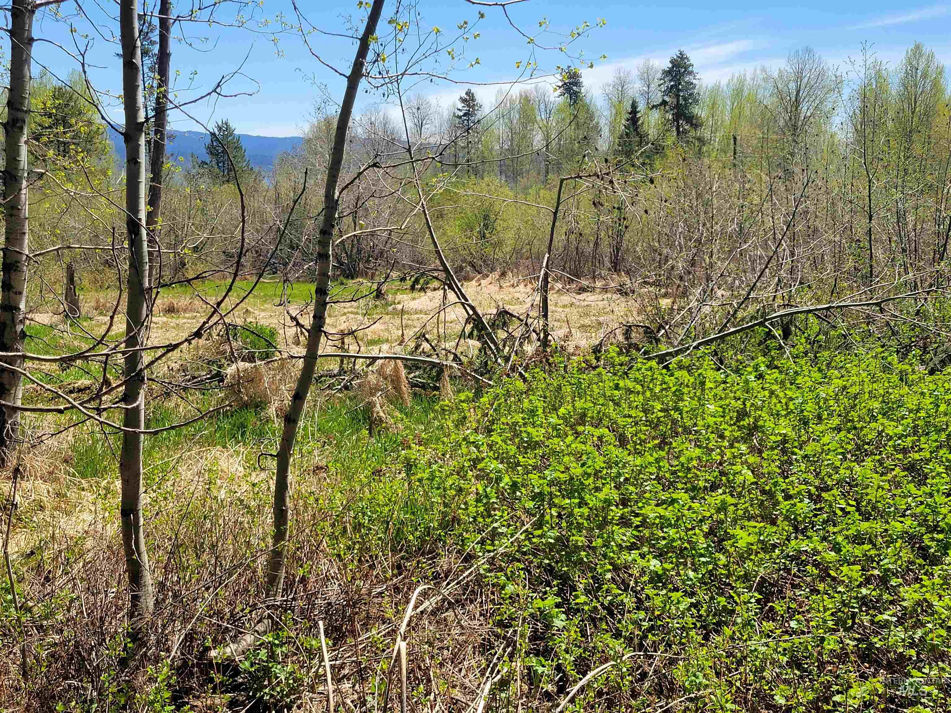 1602 Bear Trail Loop, Donnelly, Idaho 83615, Land For Sale, Price $179,900, 98986327