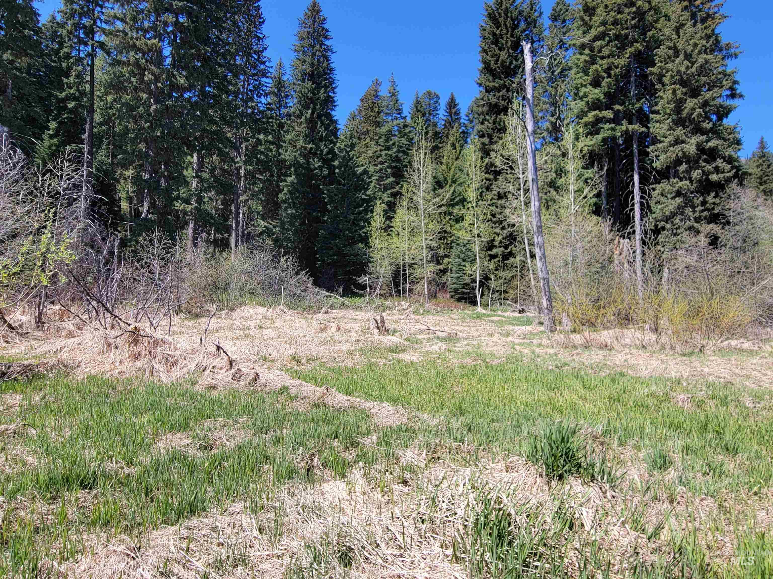 1602 Bear Trail Loop, Donnelly, Idaho 83615, Land For Sale, Price $179,900, 98986327