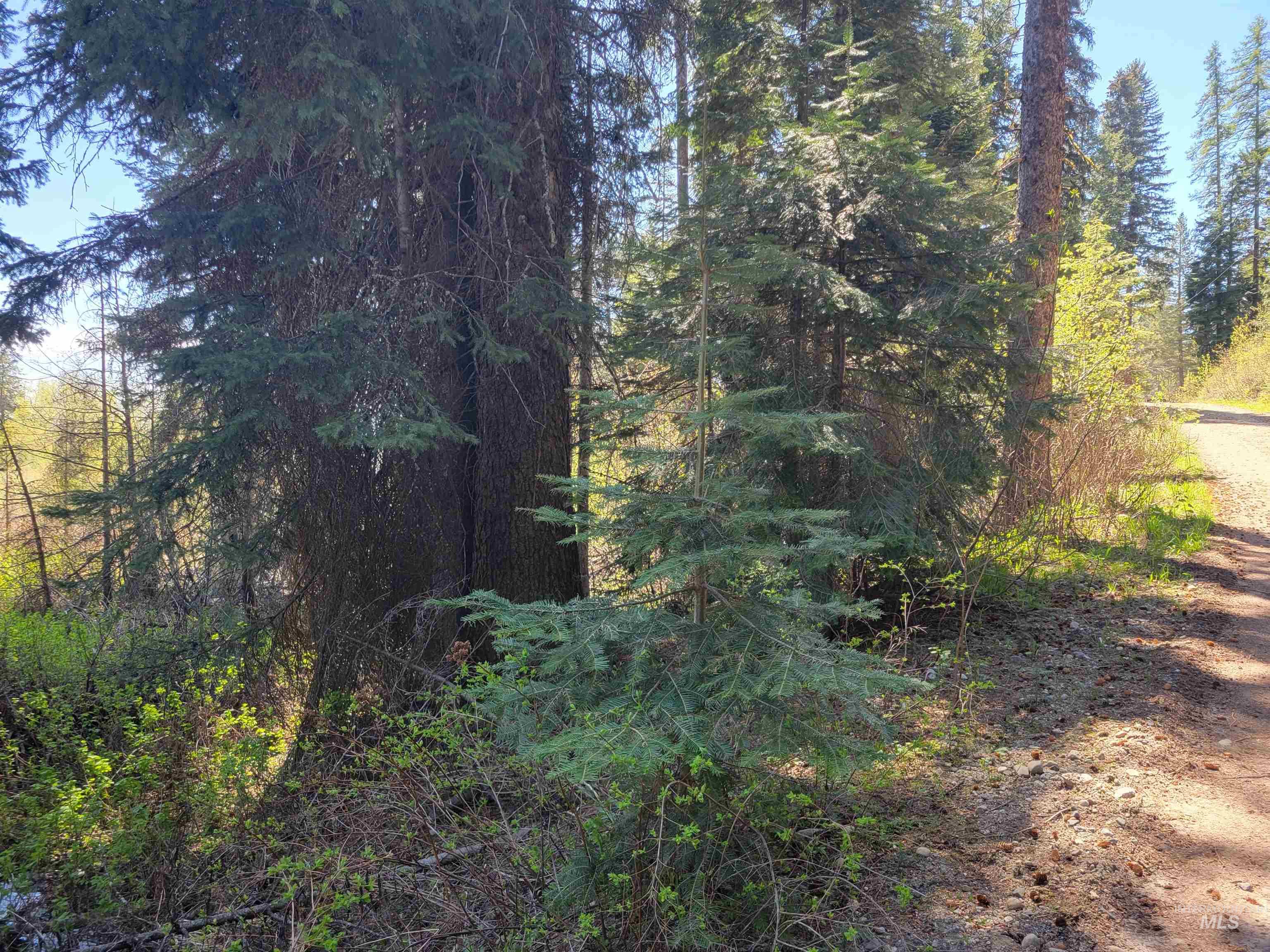 1602 Bear Trail Loop, Donnelly, Idaho 83615, Land For Sale, Price $179,900, 98986327