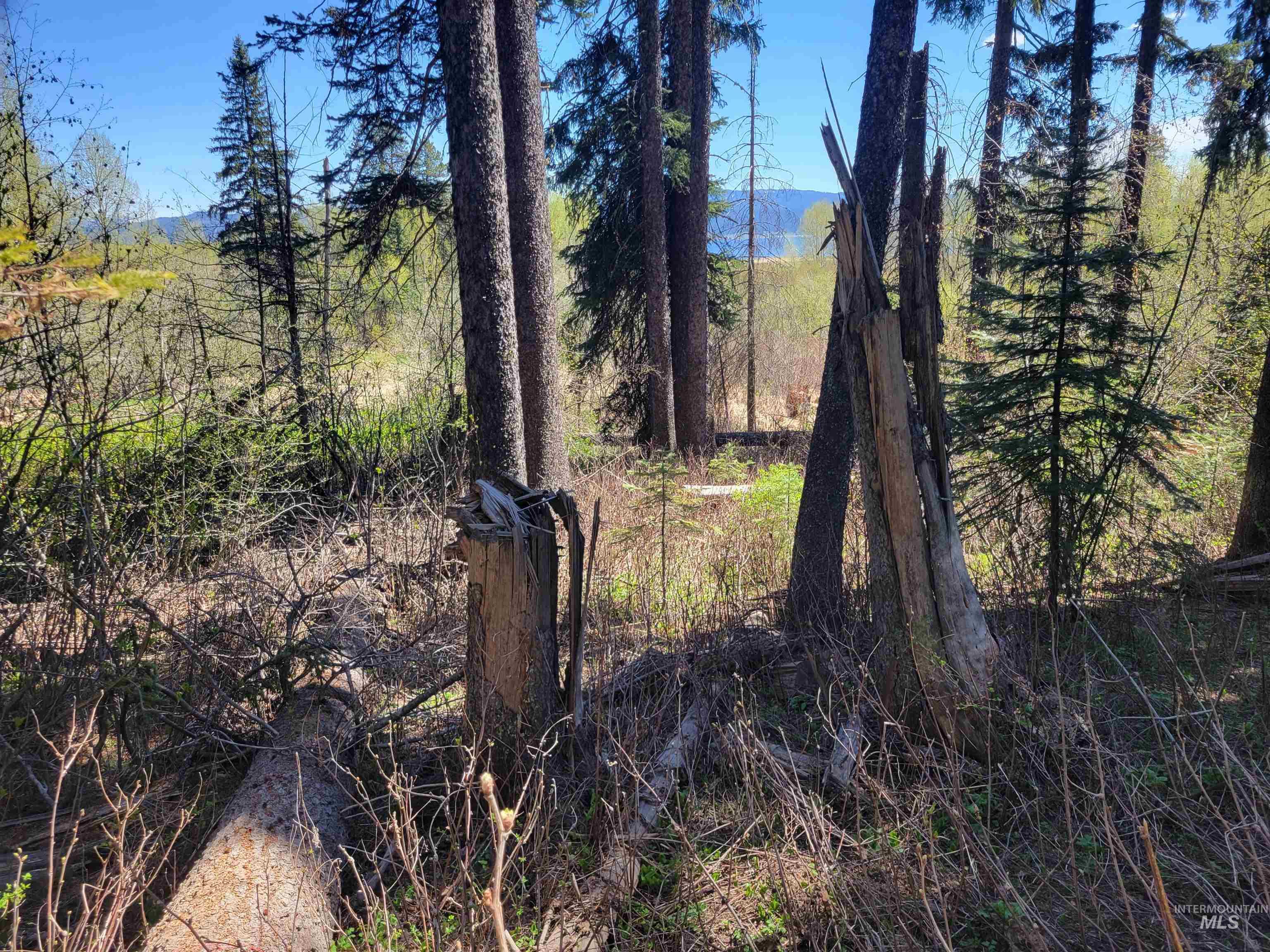 1602 Bear Trail Loop, Donnelly, Idaho 83615, Land For Sale, Price $179,900, 98986327