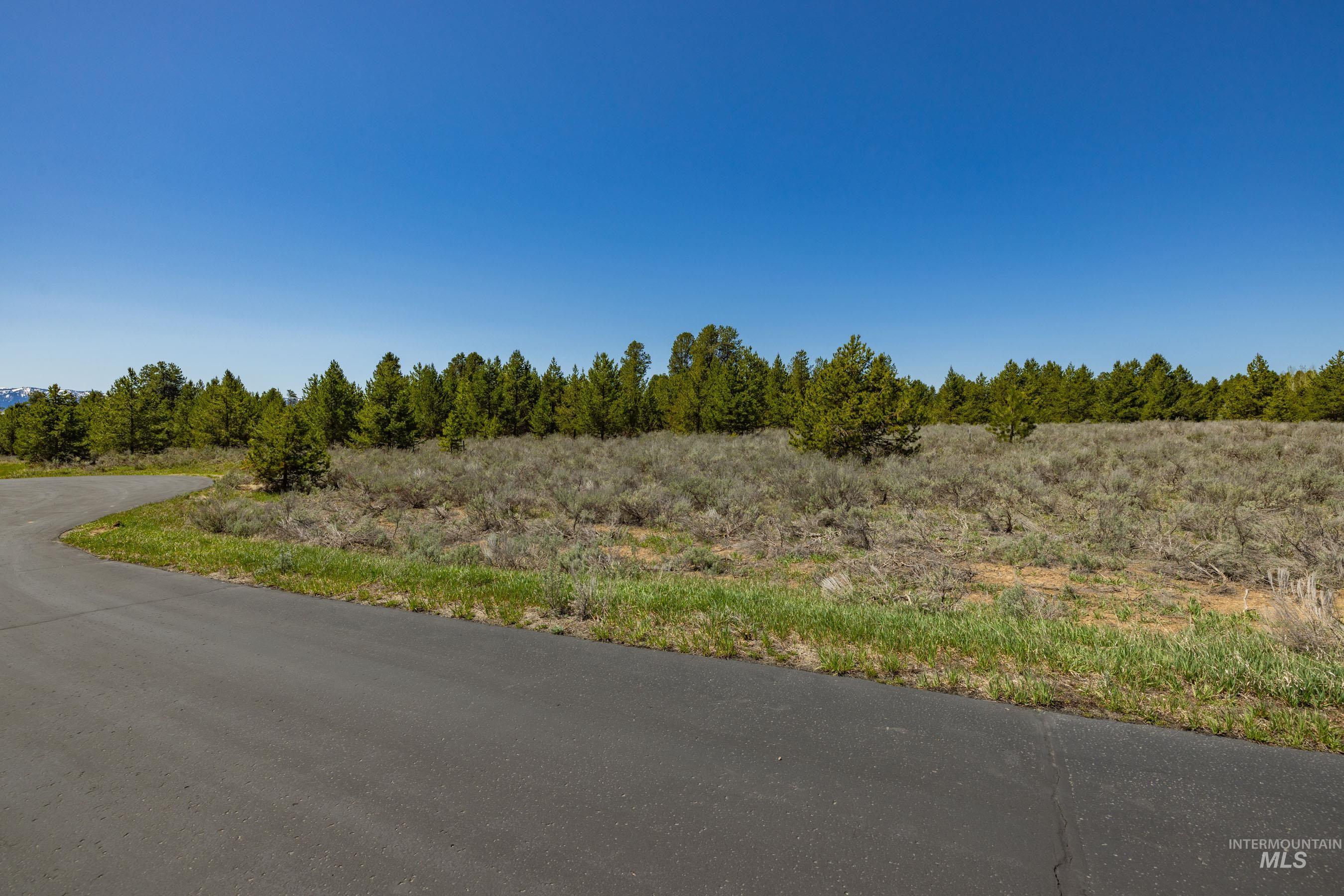 13781 Sweet Iron Court, McCall, Idaho 83638, Land For Sale, Price $285,000,MLS 98986330