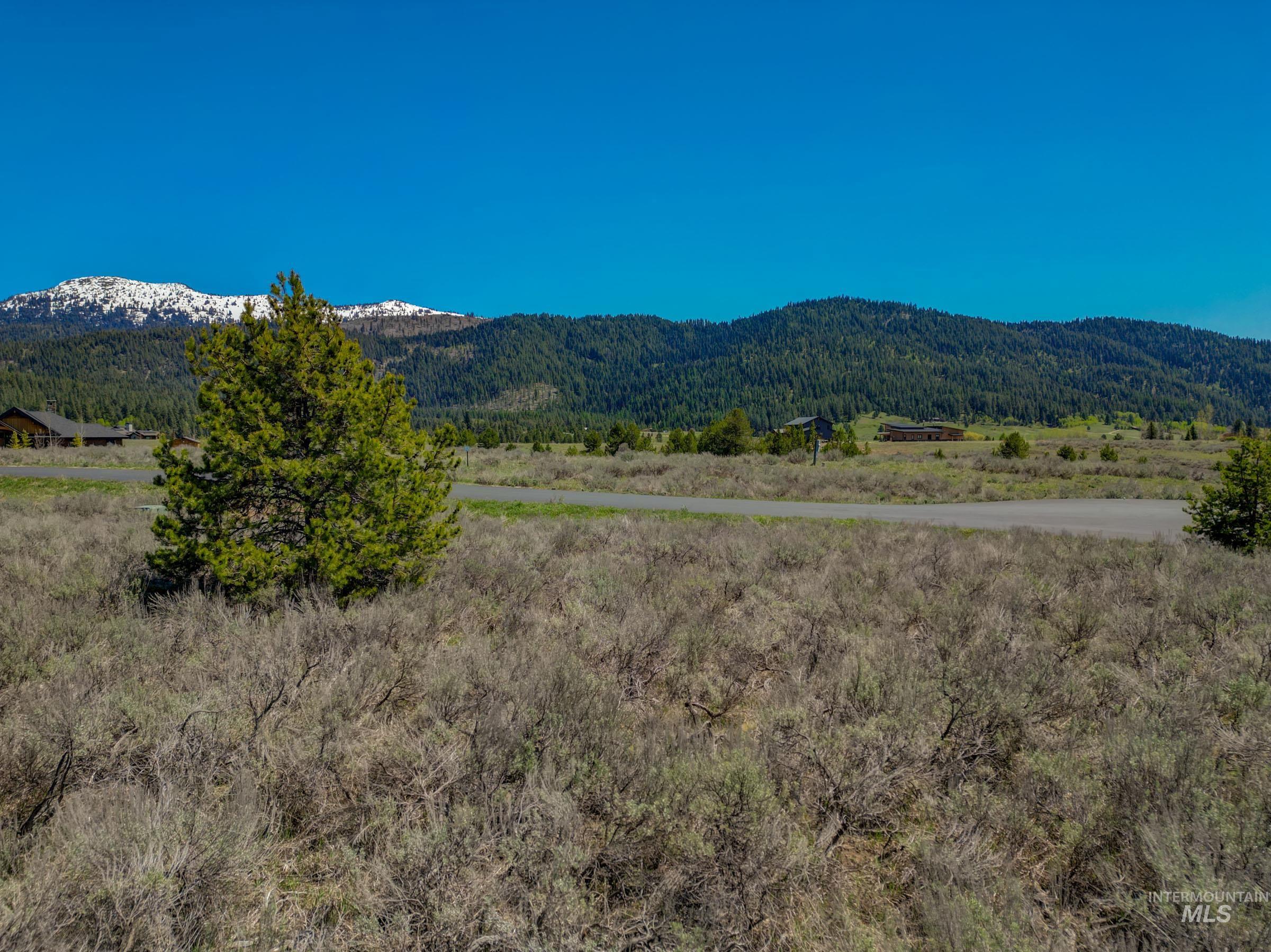 13781 Sweet Iron Court, McCall, Idaho 83638, Land For Sale, Price $285,000,MLS 98986330