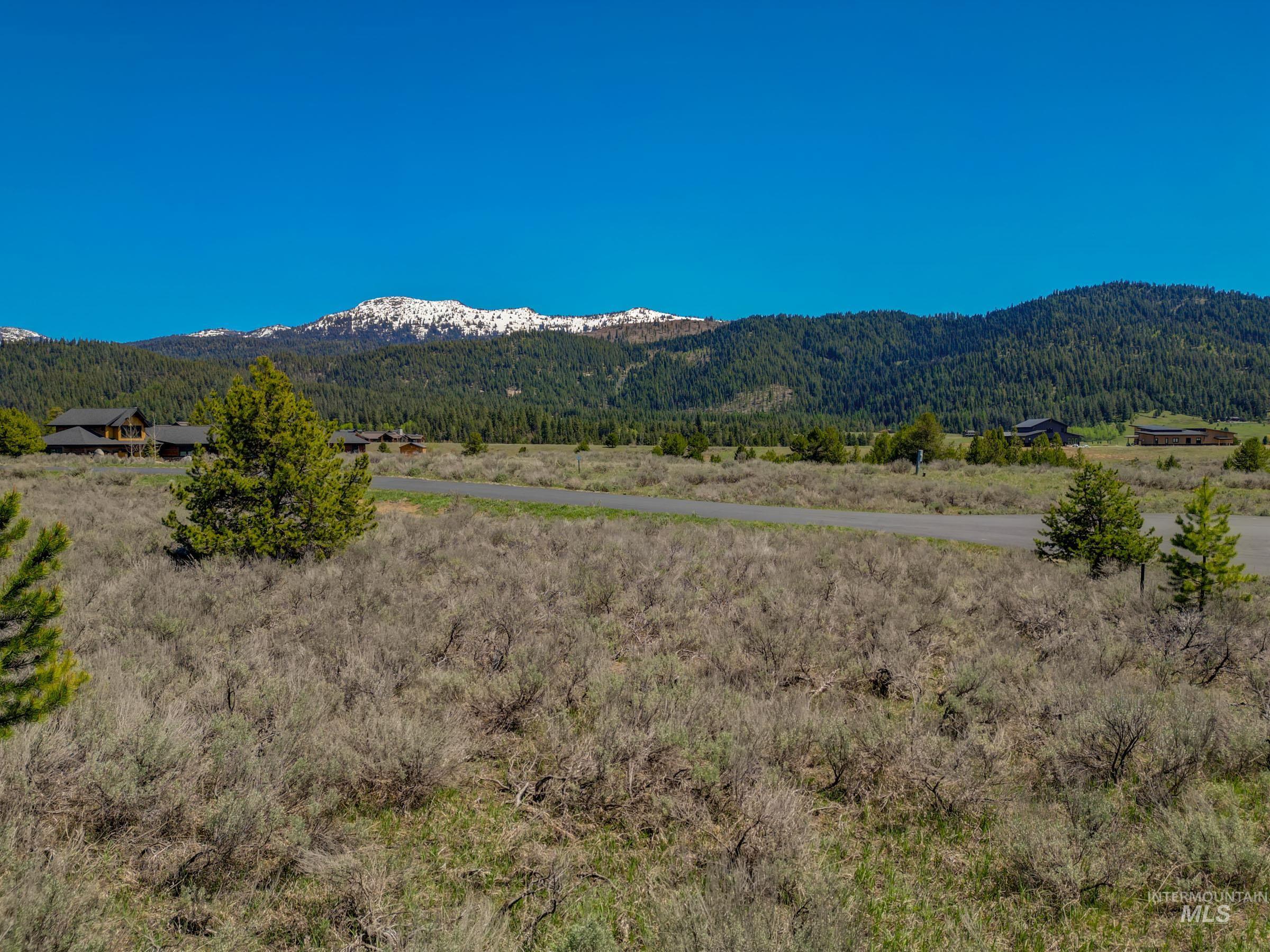 13781 Sweet Iron Court, McCall, Idaho 83638, Land For Sale, Price $285,000,MLS 98986330