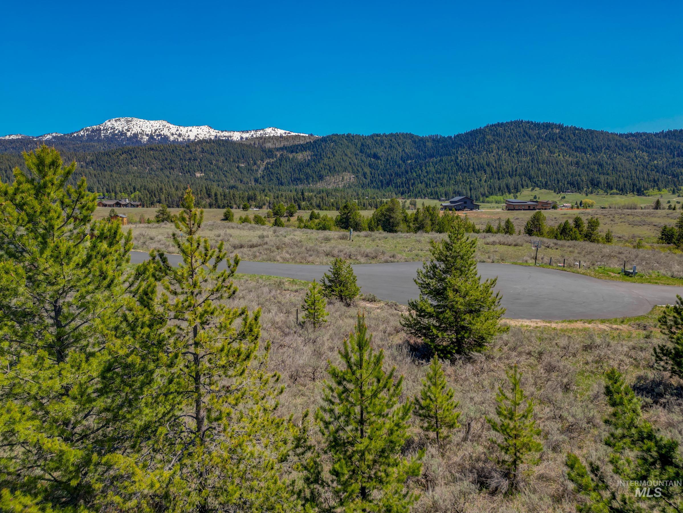 13781 Sweet Iron Court, McCall, Idaho 83638, Land For Sale, Price $285,000,MLS 98986330