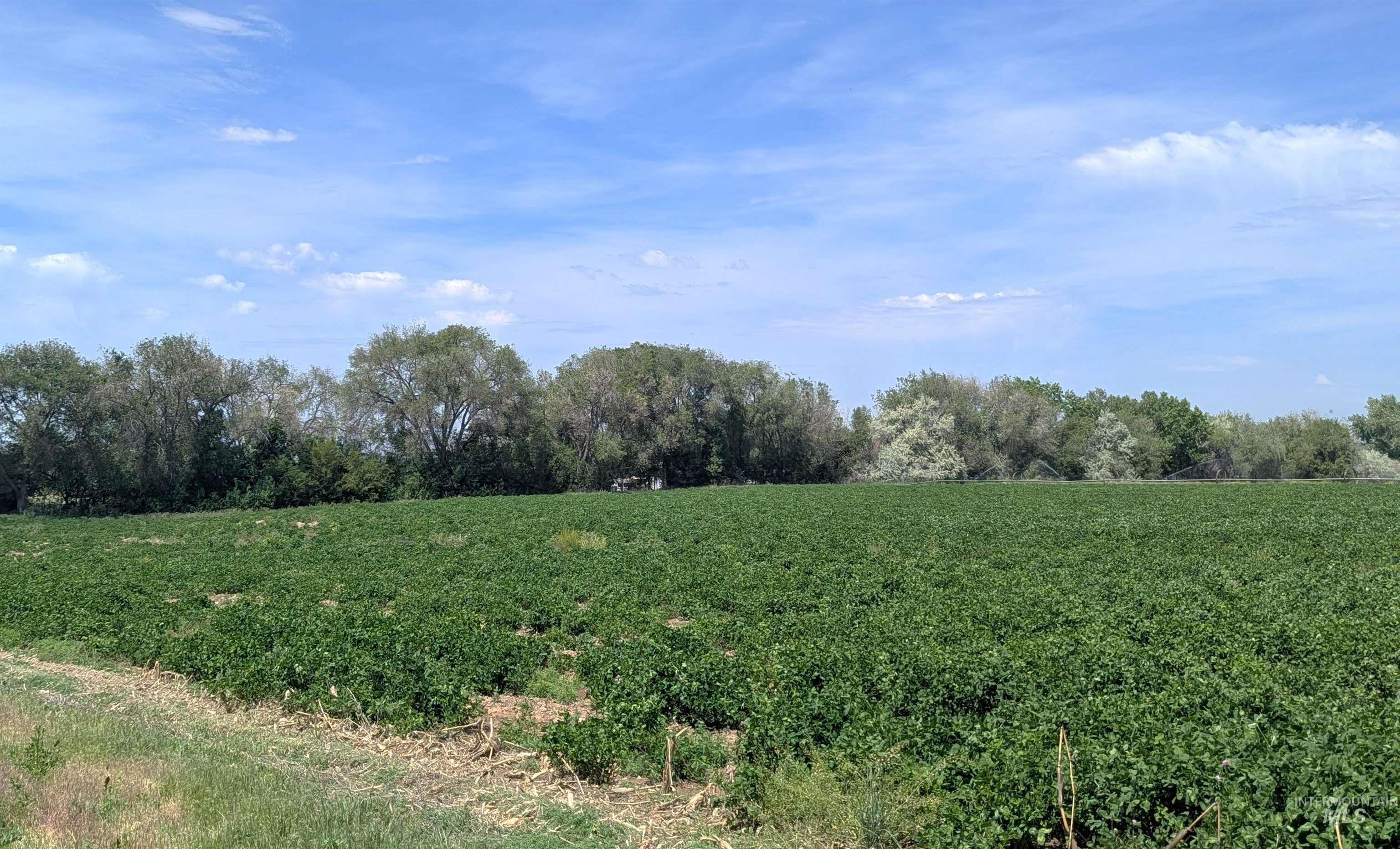1502 Glenway Avenue, Fruitland, Idaho 83619, Land For Sale, Price $300,000, 98986355