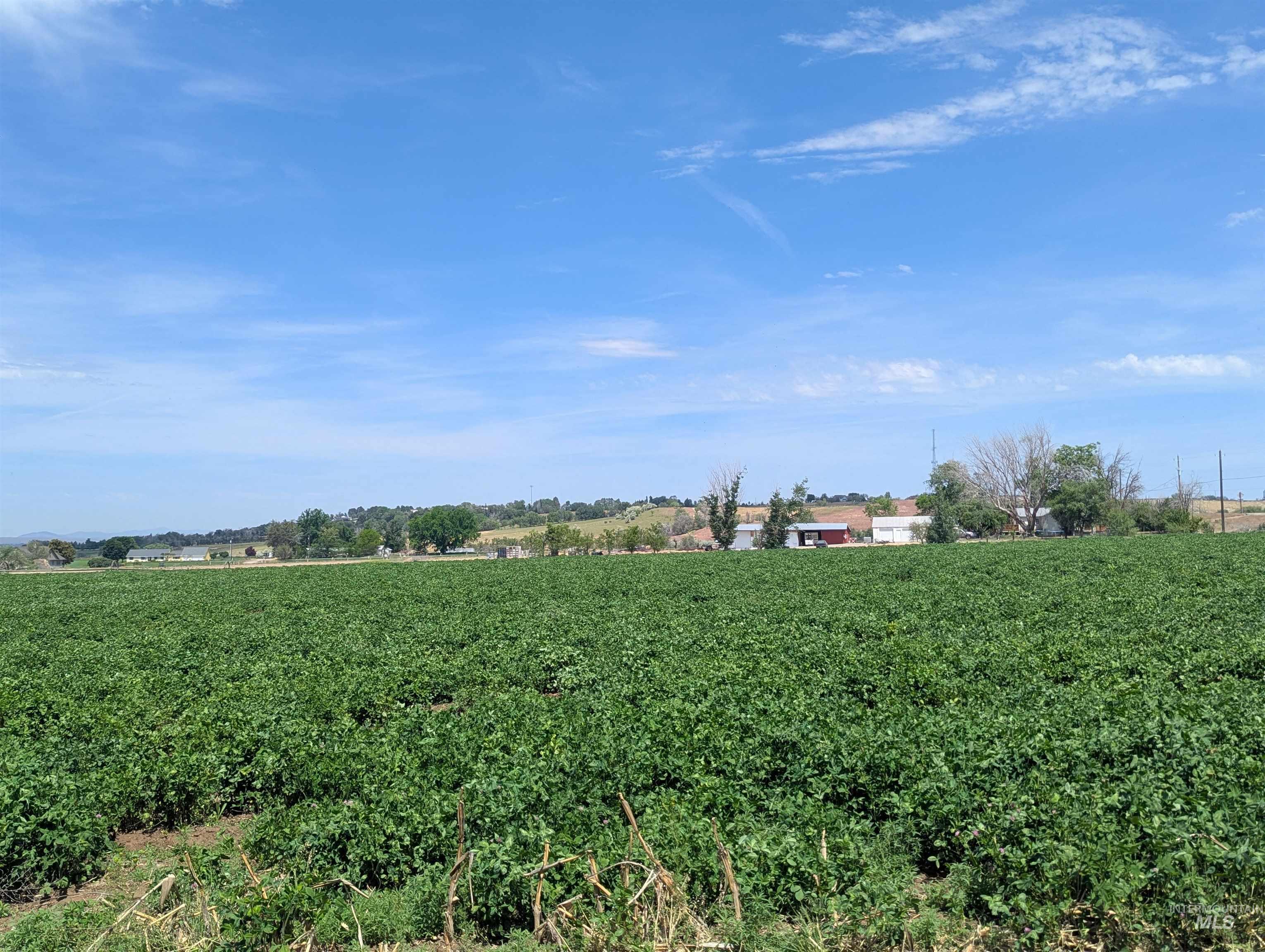 1502 Glenway Avenue, Fruitland, Idaho 83619, Land For Sale, Price $300,000, 98986355
