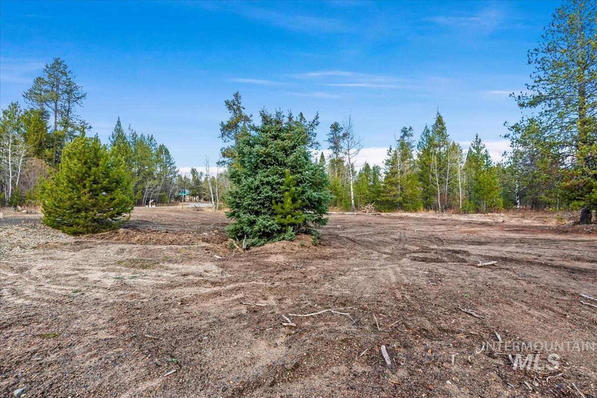 11 POINTE AT GOLDFORK CT, Donnelly, Idaho 83611, Land For Sale, Price $369,900,MLS 98986359