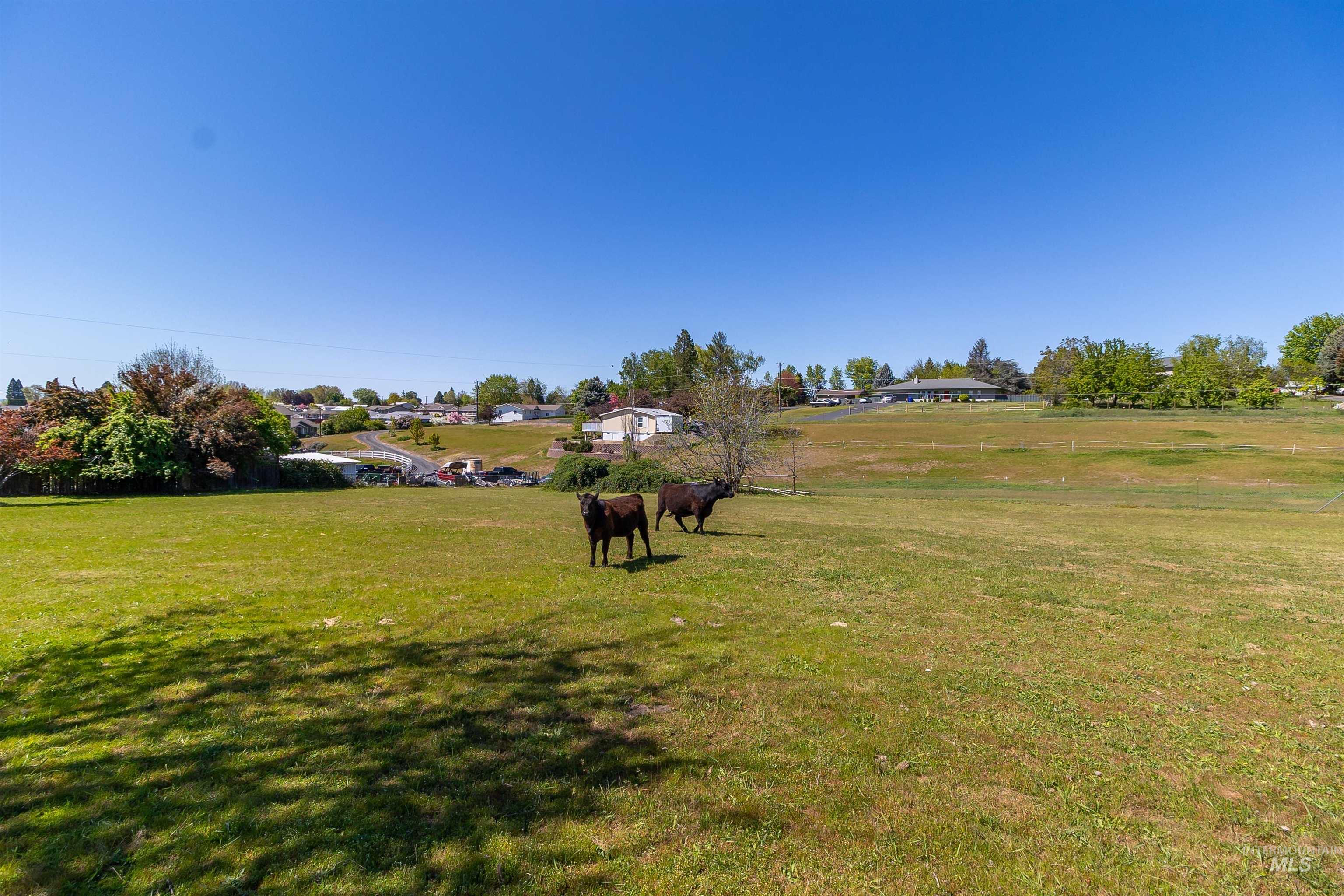 TBD Grelle Ave, Lewiston, Idaho 83501, Land For Sale, Price $205,000, 98986388