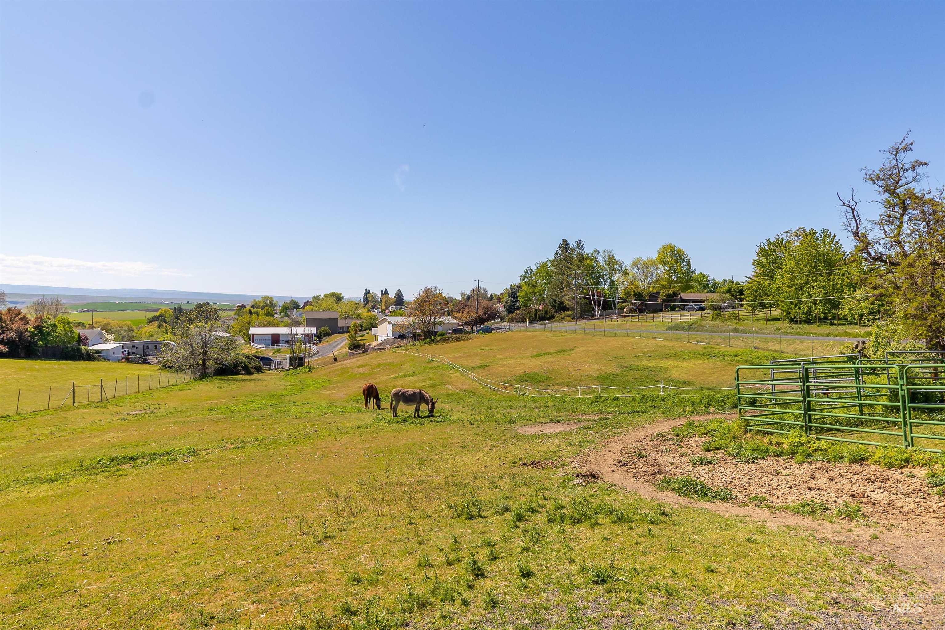 TBD Grelle Ave, Lewiston, Idaho 83501, Land For Sale, Price $205,000, 98986388