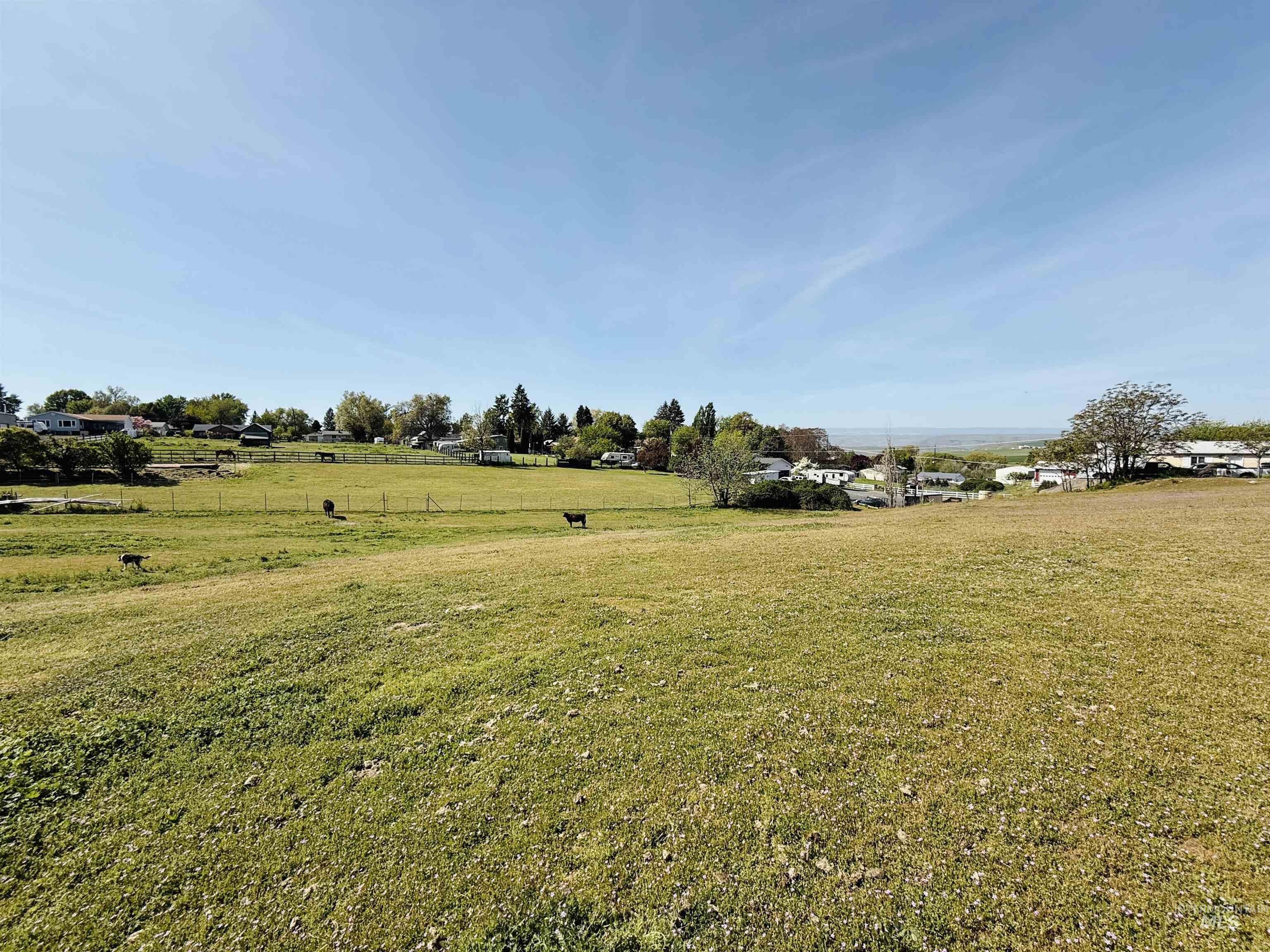TBD Grelle Ave, Lewiston, Idaho 83501, Land For Sale, Price $205,000, 98986388