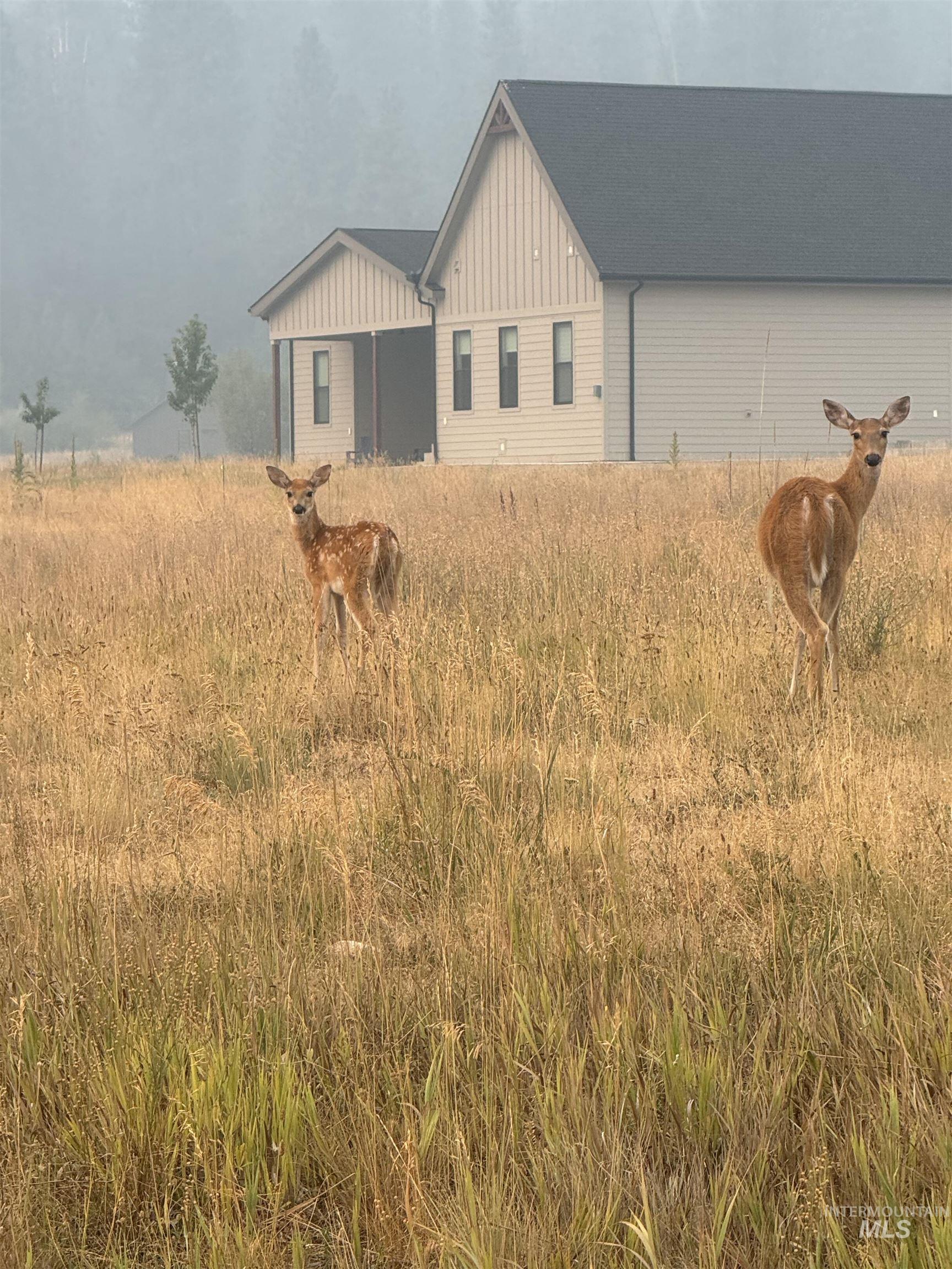 TBD Lot 4 Wapiti Court, Garden Valley, Idaho 83622, 3 Bedrooms, 2 Bathrooms, Residential For Sale, Price $637,500,MLS 98986415