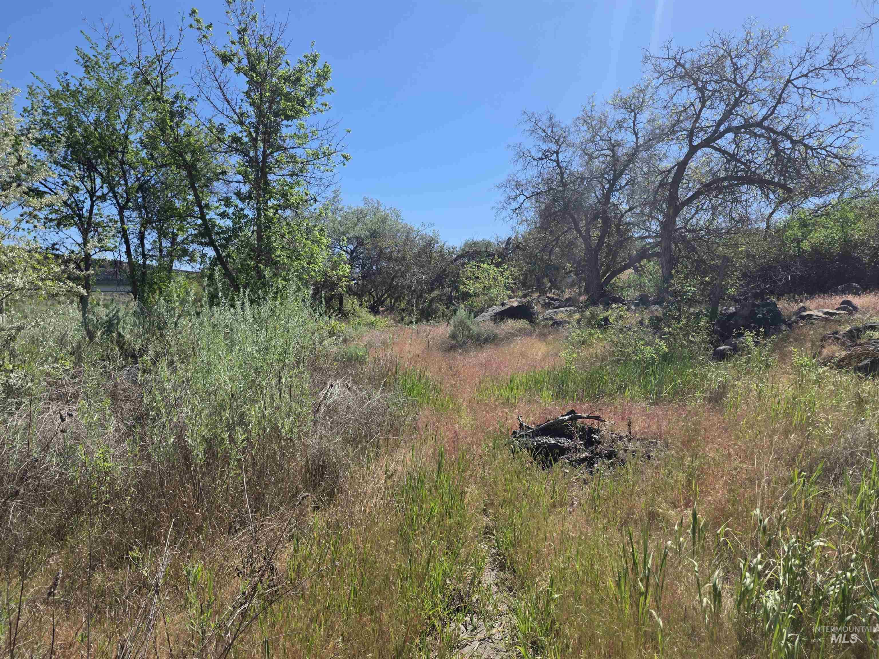 TBD Lot 3 Block 1 Chessmore Drive, Buhl, Idaho 83316, Land For Sale, Price $259,900, 98986428