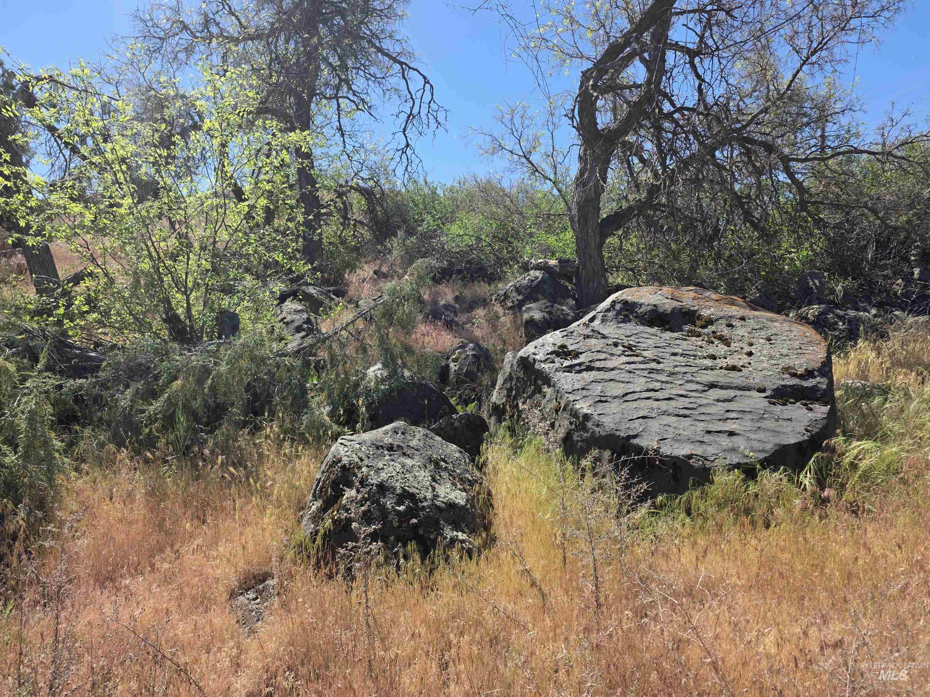 TBD Lot 3 Block 1 Chessmore Drive, Buhl, Idaho 83316, Land For Sale, Price $259,900, 98986428