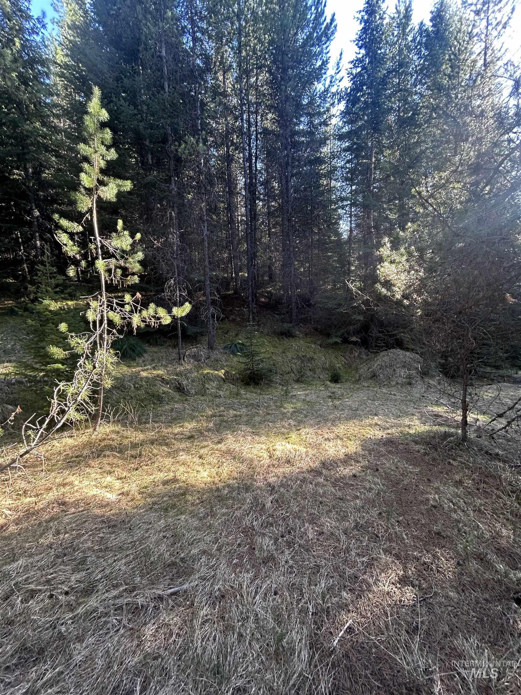 162 coopers lane, Elk City, Idaho 83525, Land For Sale, Price $199,900, 98986447