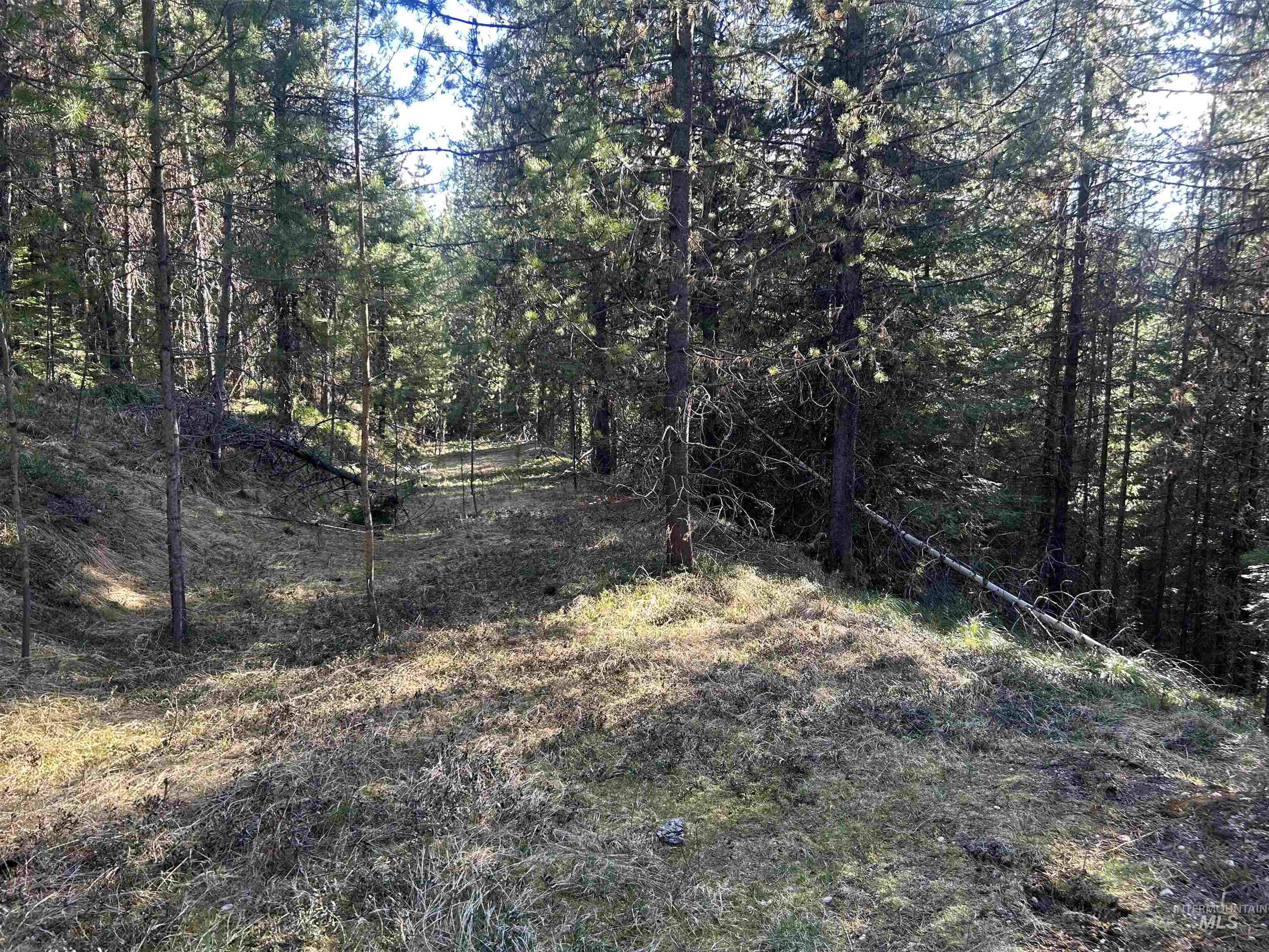 162 coopers lane, Elk City, Idaho 83525, Land For Sale, Price $199,900, 98986447