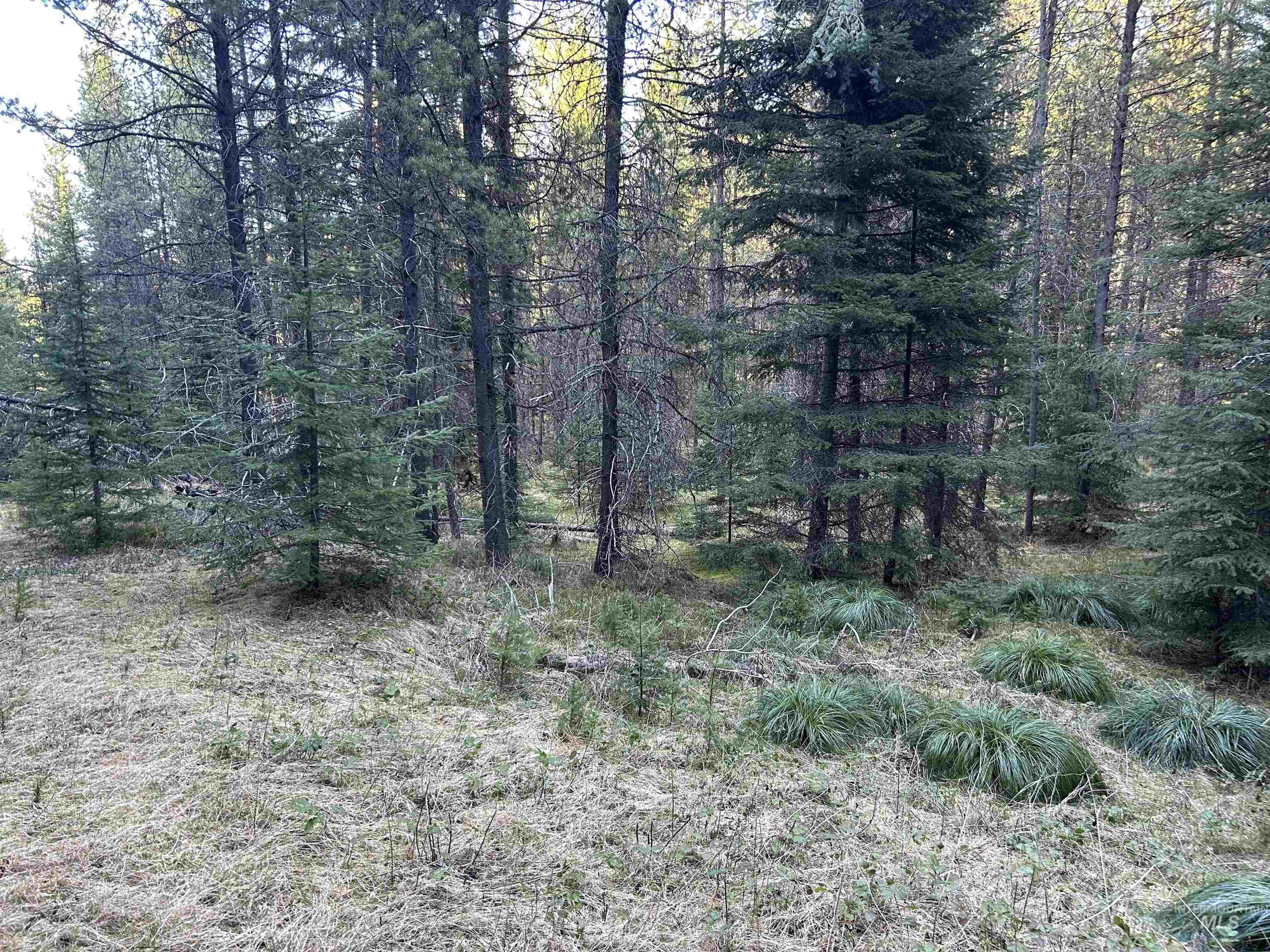 162 coopers lane, Elk City, Idaho 83525, Land For Sale, Price $199,900, 98986447