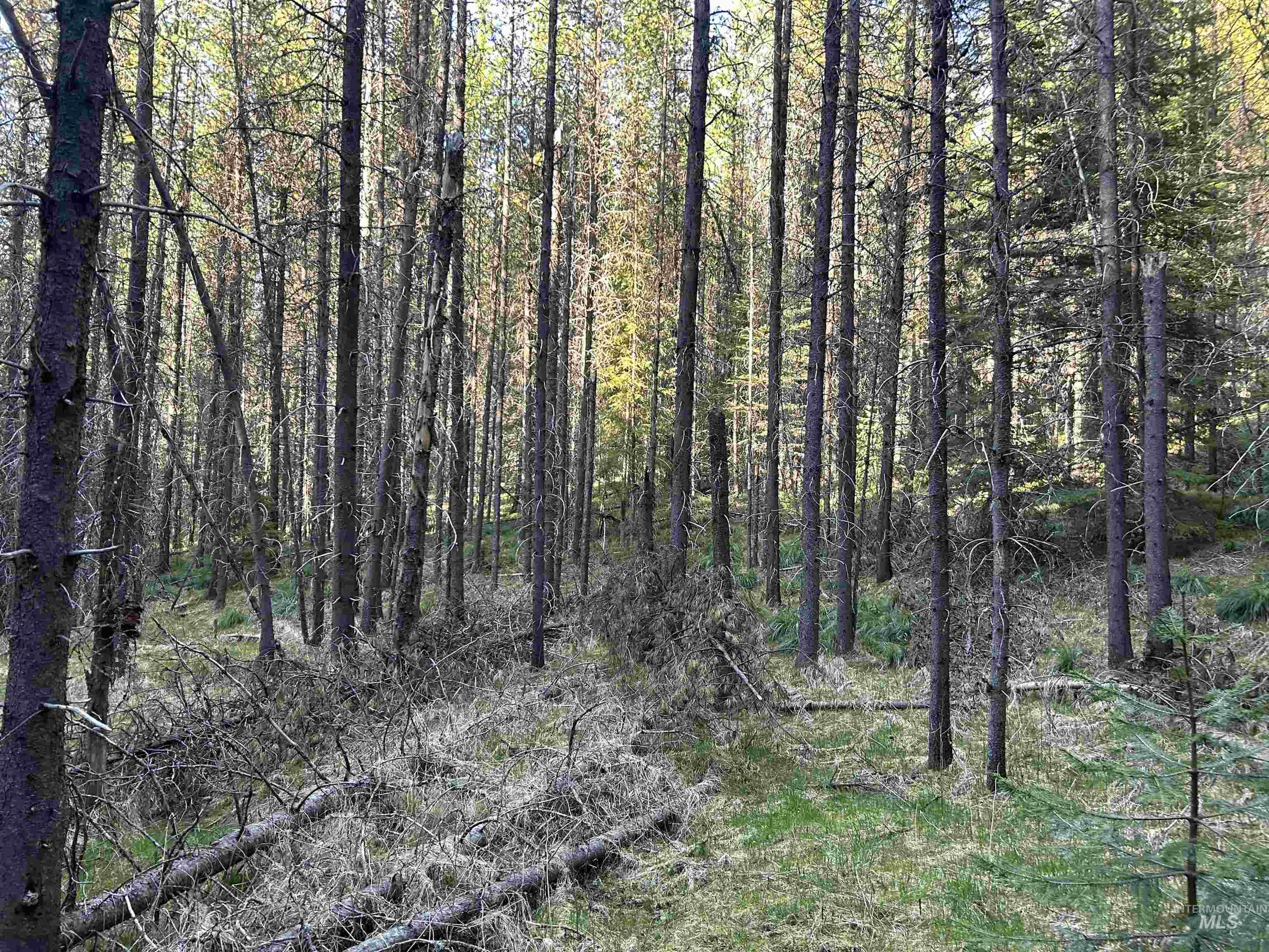 162 coopers lane, Elk City, Idaho 83525, Land For Sale, Price $199,900, 98986447