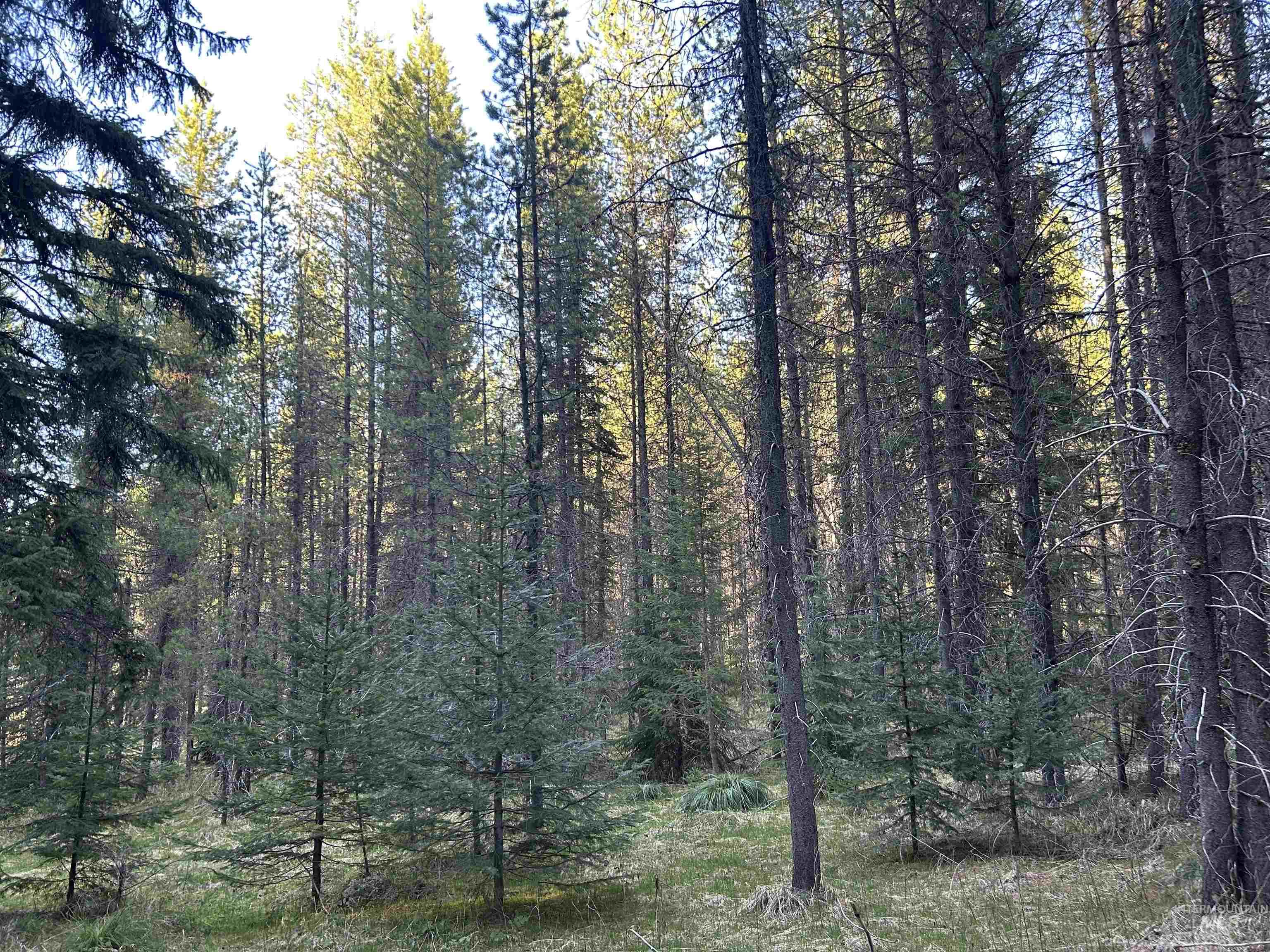 162 coopers lane, Elk City, Idaho 83525, Land For Sale, Price $199,900, 98986447