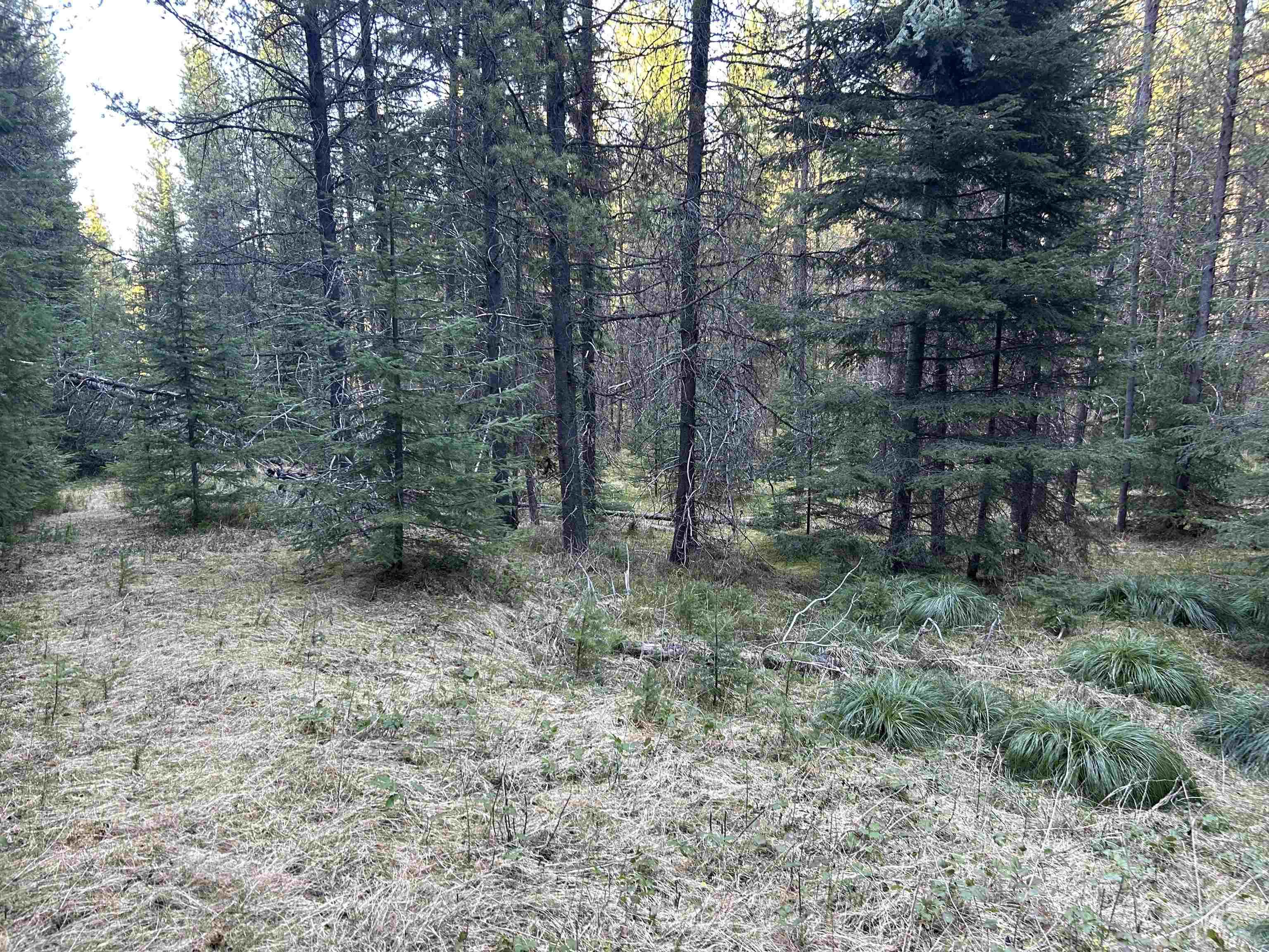 162 coopers lane, Elk City, Idaho 83525, Land For Sale, Price $199,900, 98986447