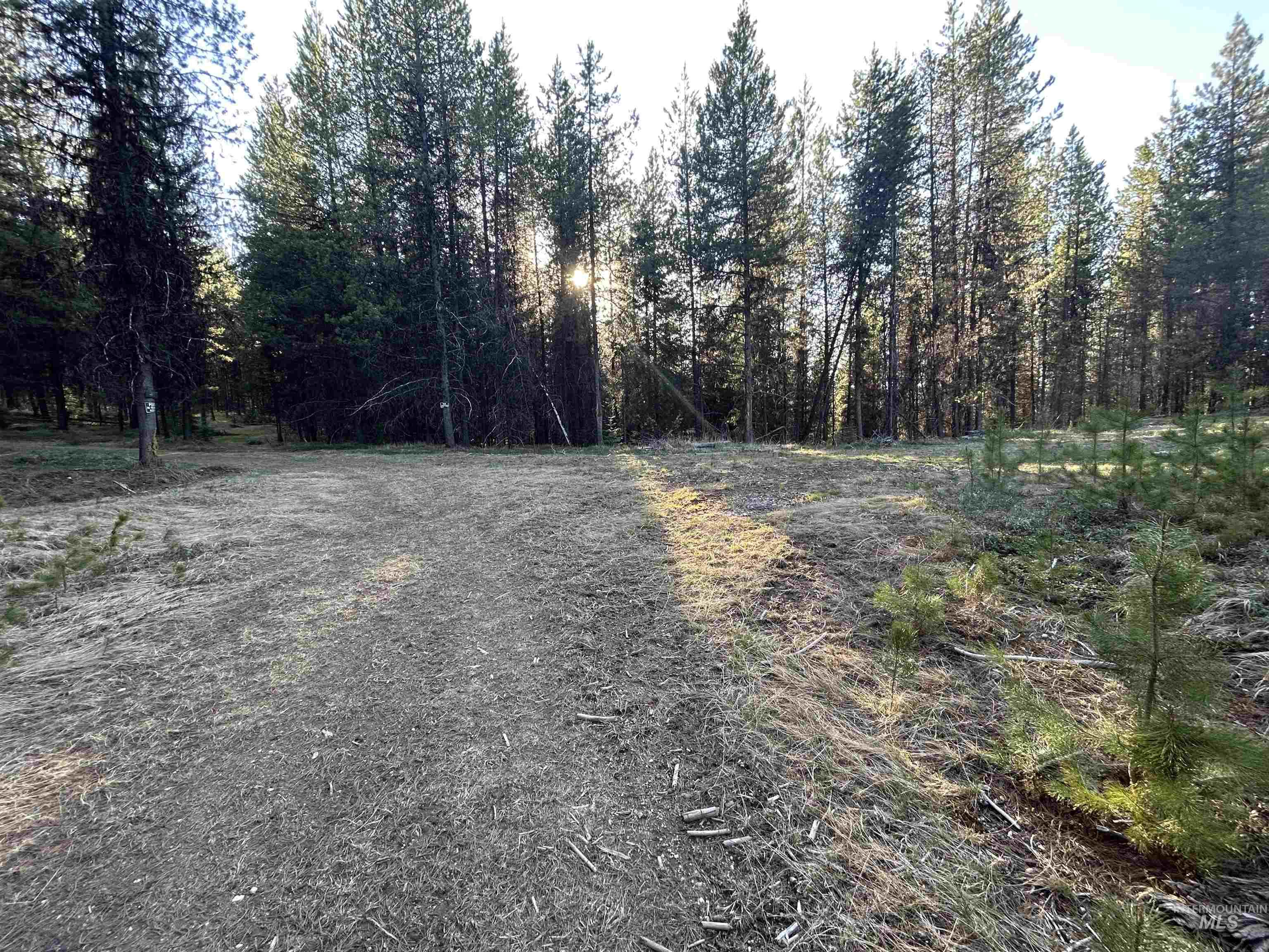 162 coopers lane, Elk City, Idaho 83525, Land For Sale, Price $199,900, 98986447