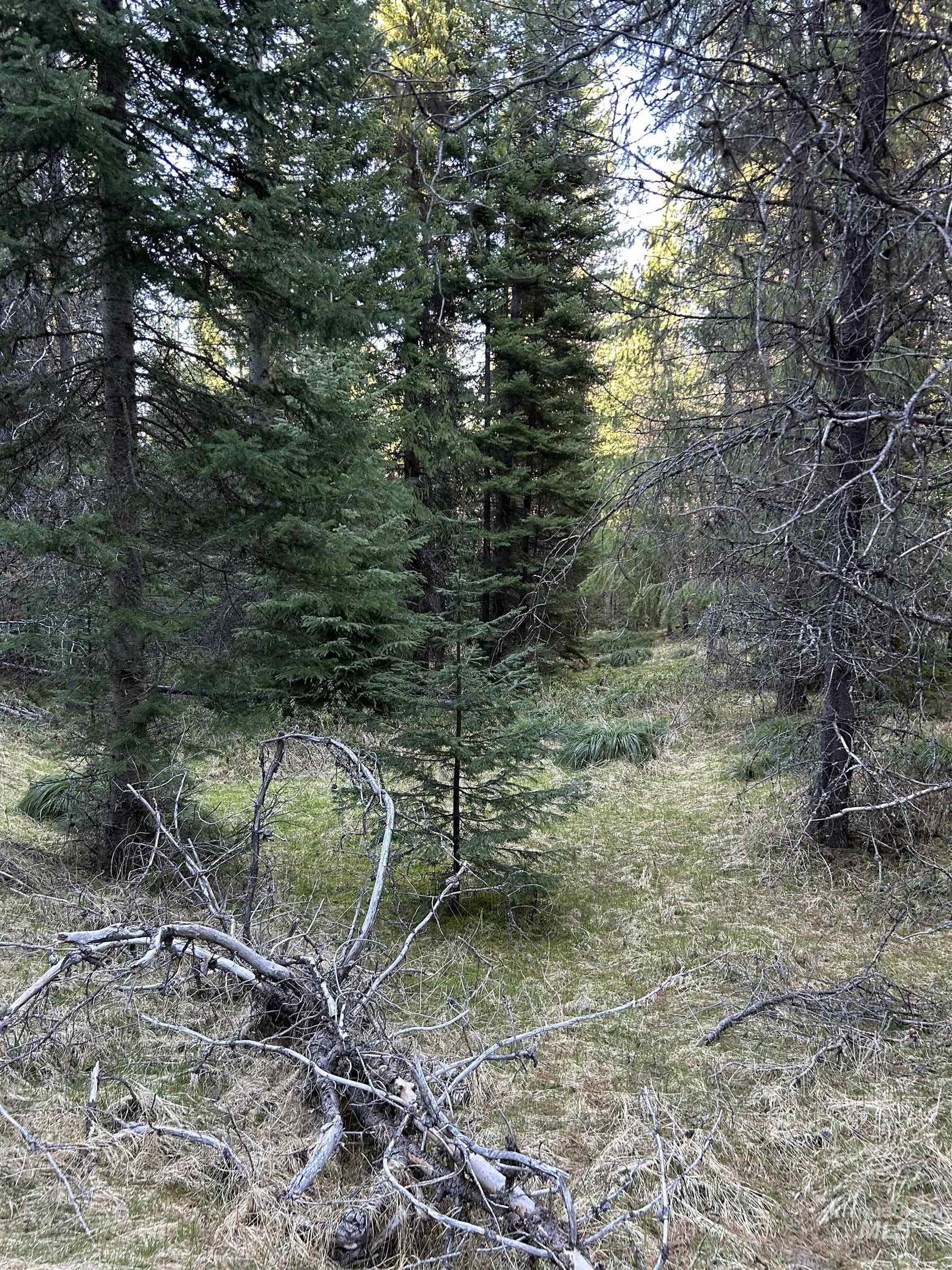 162 coopers lane, Elk City, Idaho 83525, Land For Sale, Price $199,900, 98986447