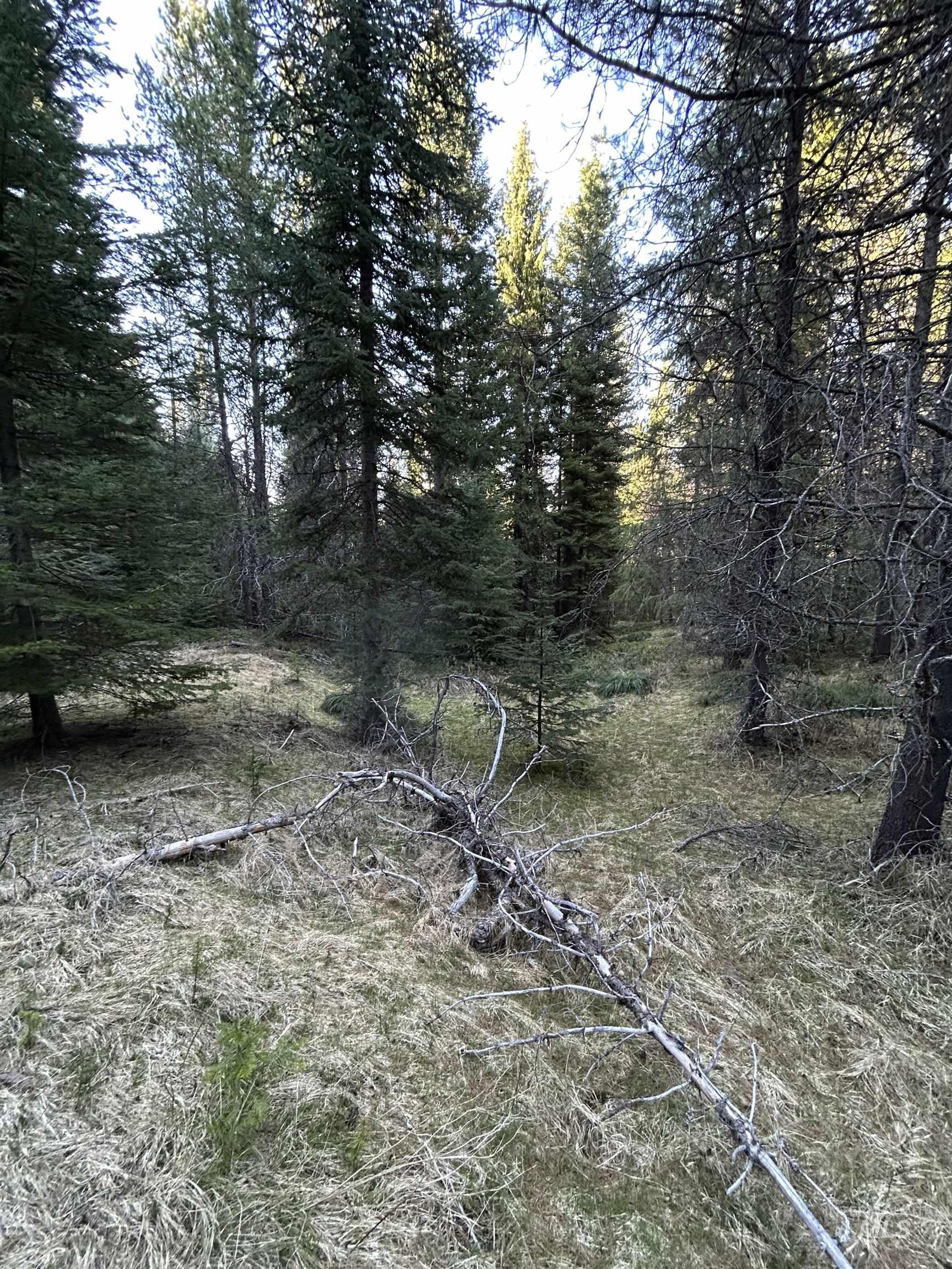 162 coopers lane, Elk City, Idaho 83525, Land For Sale, Price $199,900, 98986447