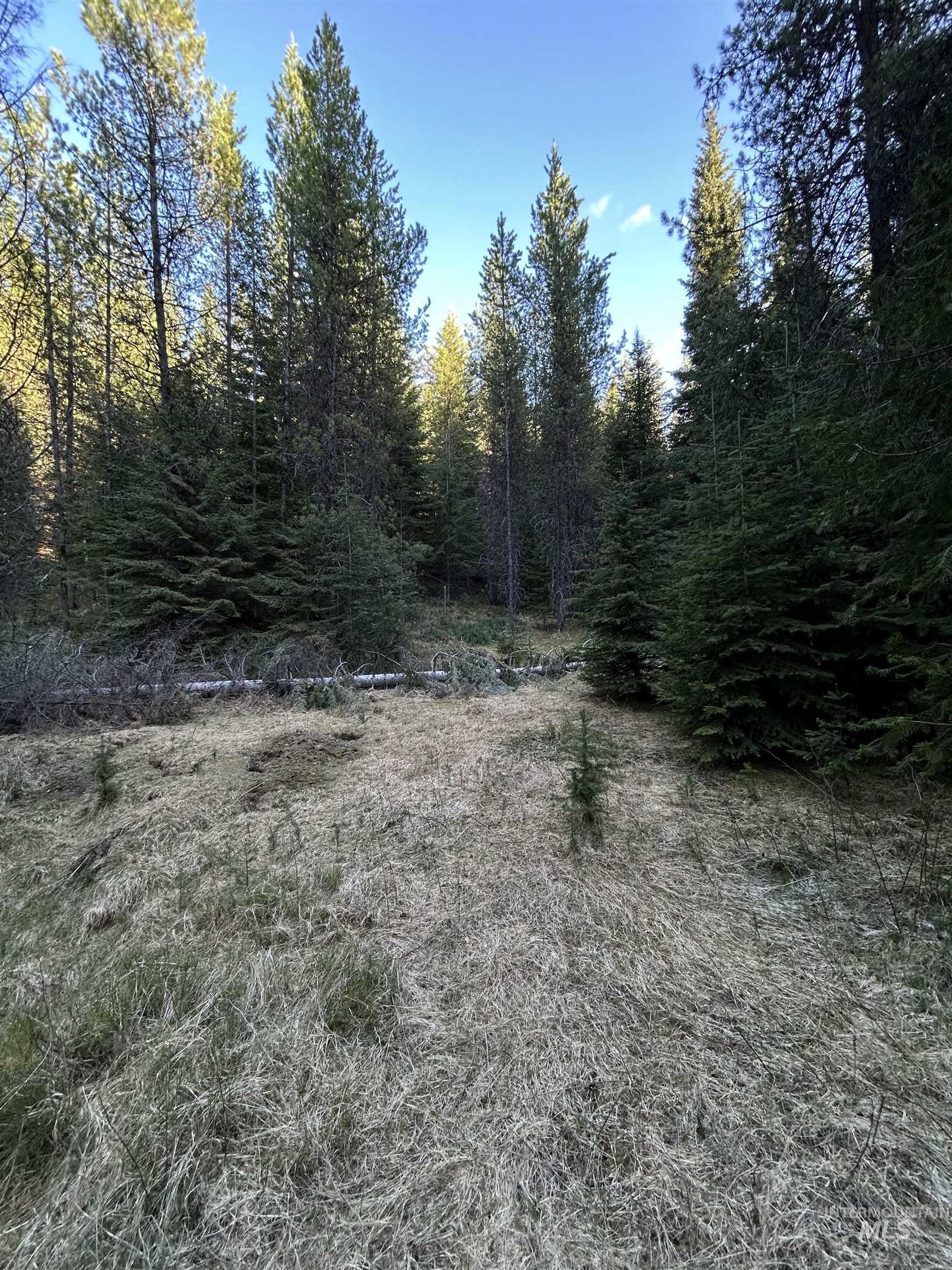 162 coopers lane, Elk City, Idaho 83525, Land For Sale, Price $199,900, 98986447