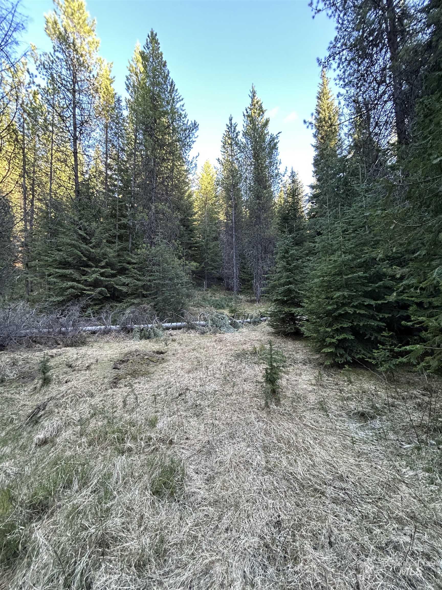 162 coopers lane, Elk City, Idaho 83525, Land For Sale, Price $199,900, 98986447