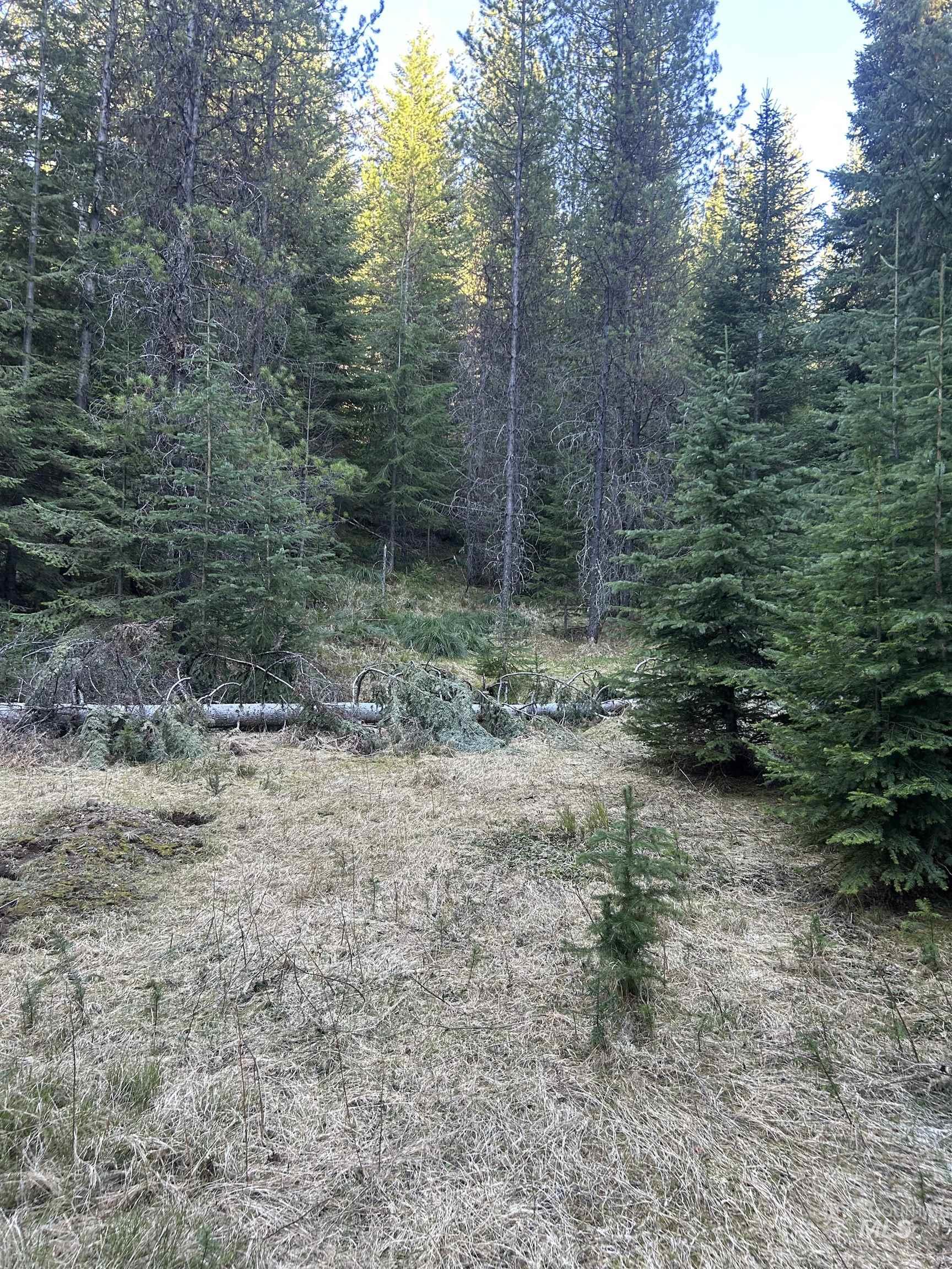 162 coopers lane, Elk City, Idaho 83525, Land For Sale, Price $199,900, 98986447