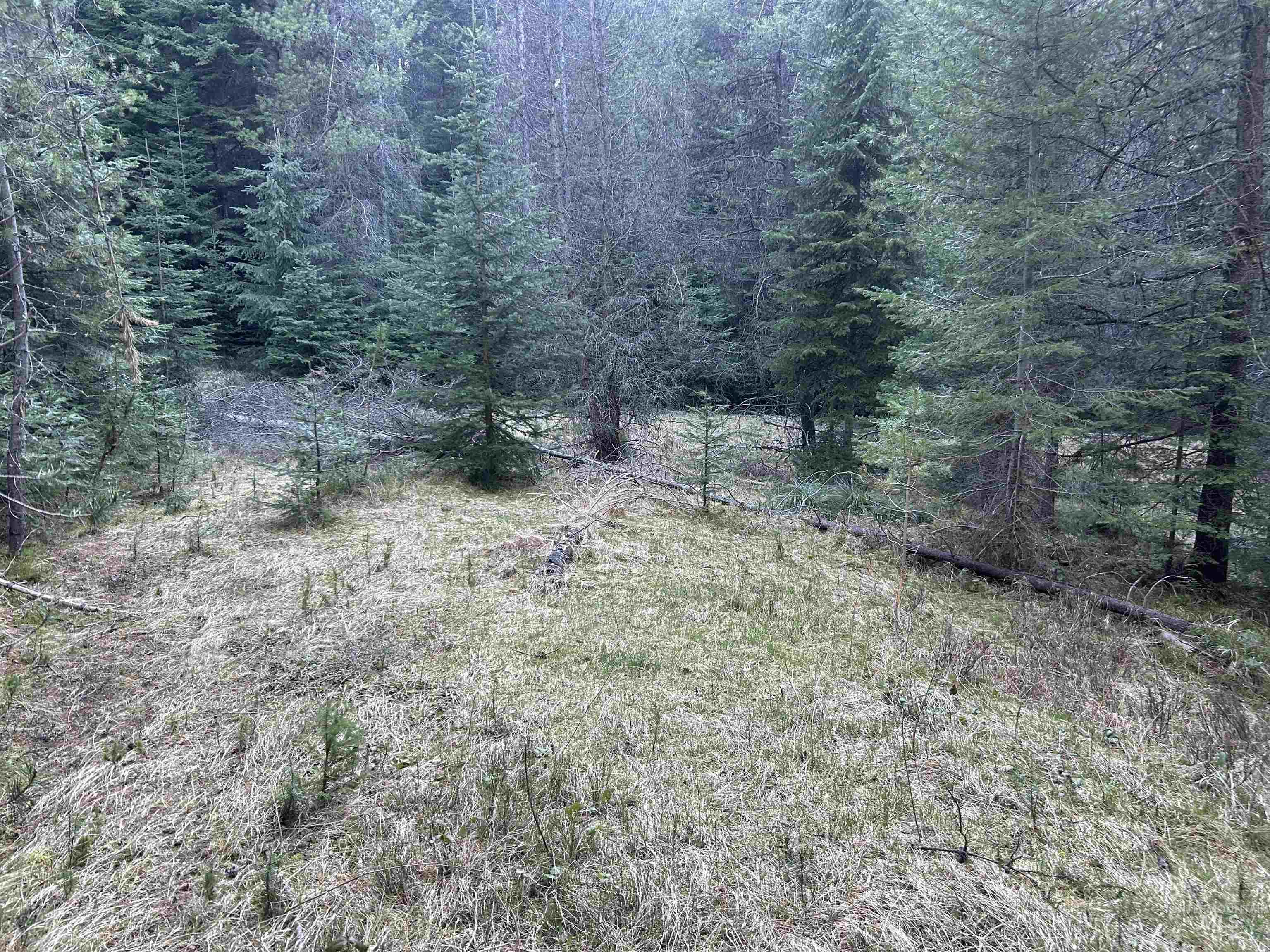 162 coopers lane, Elk City, Idaho 83525, Land For Sale, Price $199,900, 98986447
