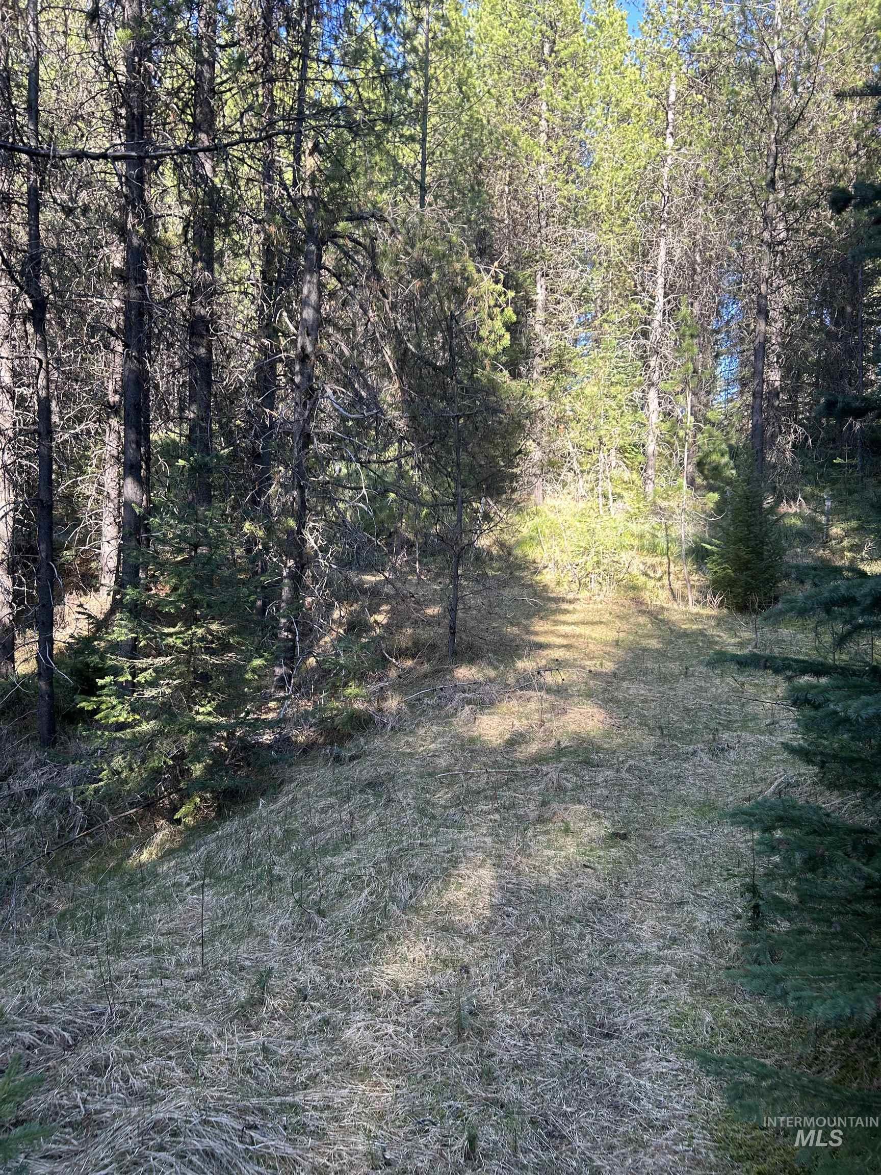 162 coopers lane, Elk City, Idaho 83525, Land For Sale, Price $199,900, 98986447