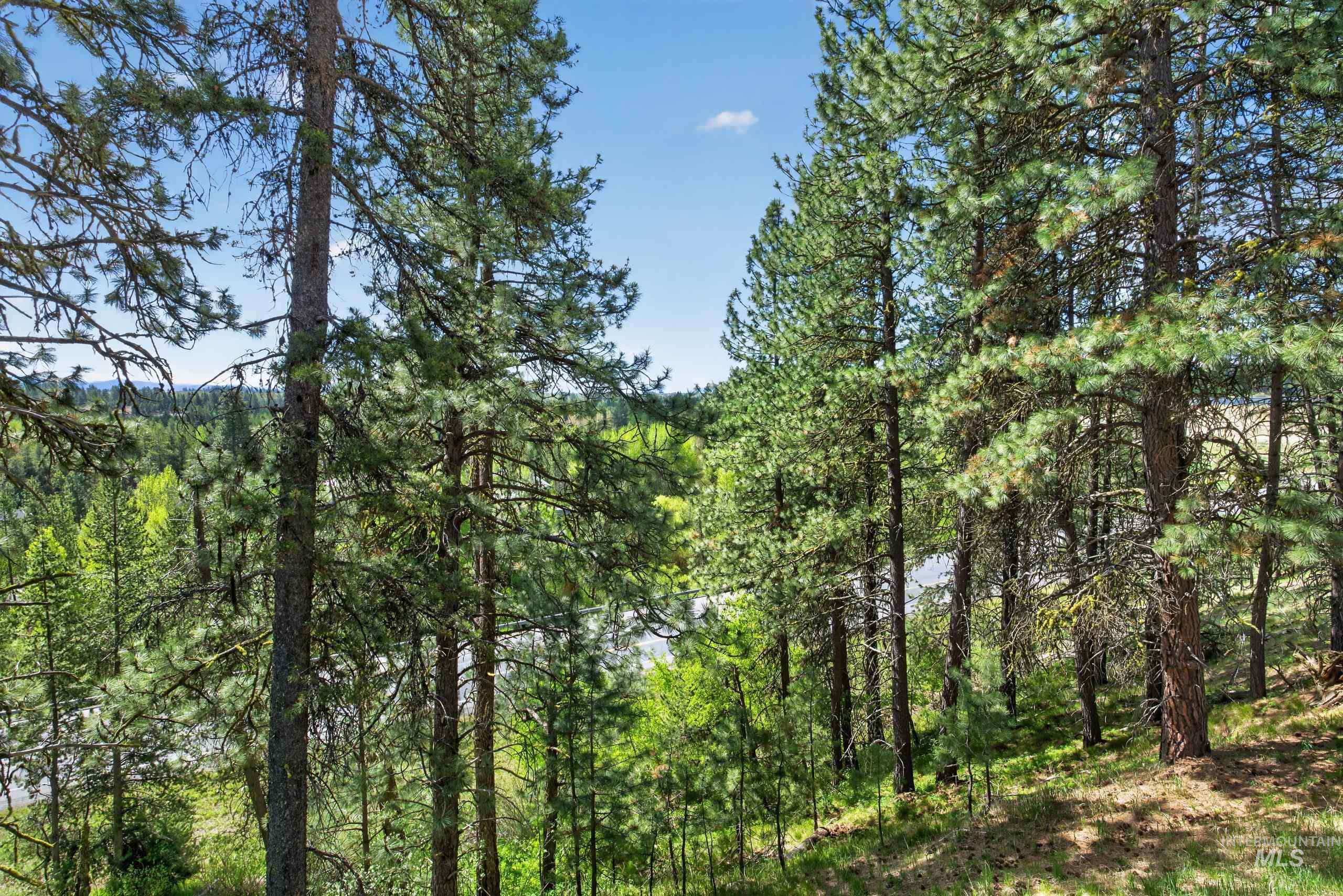 202 Sunny Way, McCall, Idaho 83638, 2 Bedrooms, 2 Bathrooms, Residential For Sale, Price $559,900,MLS 98986452