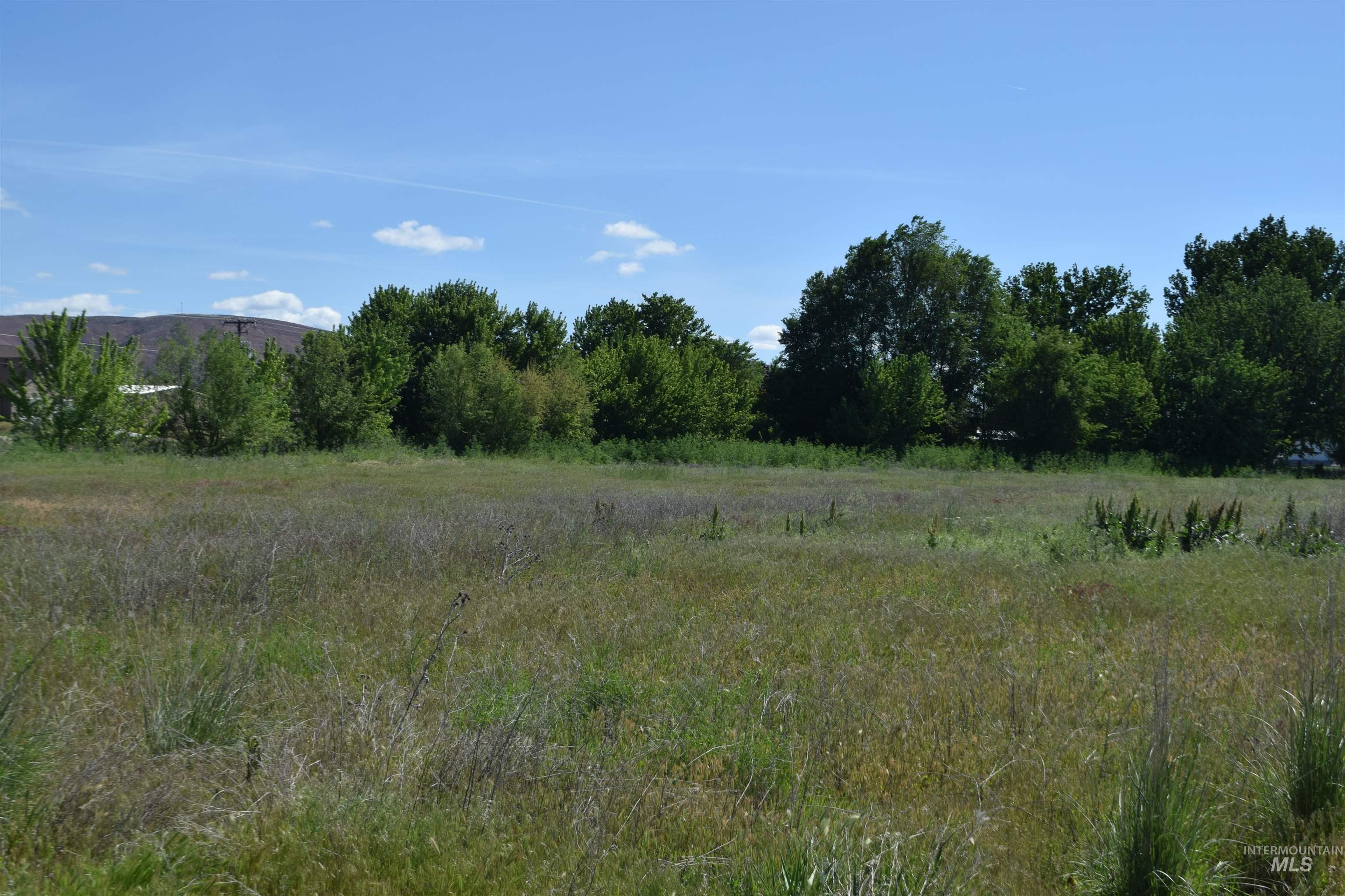 TBD Couper Ln., Weiser, Idaho 83672, Land For Sale, Price $298,888,MLS 98986576