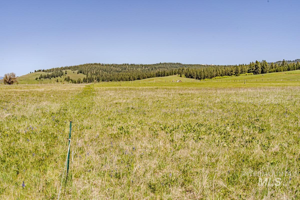 55 Chisum Drive, Donnelly, Idaho 83615, 3 Bedrooms, 2 Bathrooms, Residential For Sale, Price $975,000, 98986597