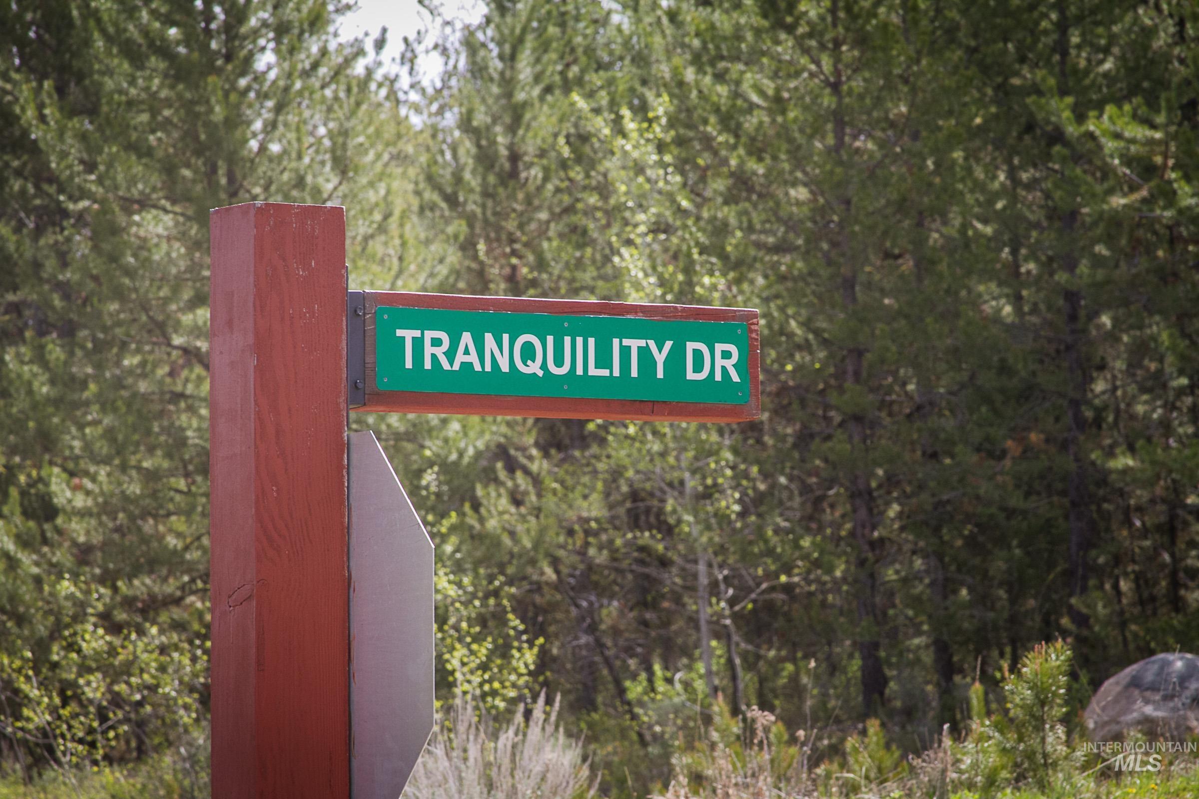 38 Tranquility, McCall, Idaho 83638-0000, Land For Sale, Price $250,000, 98986601