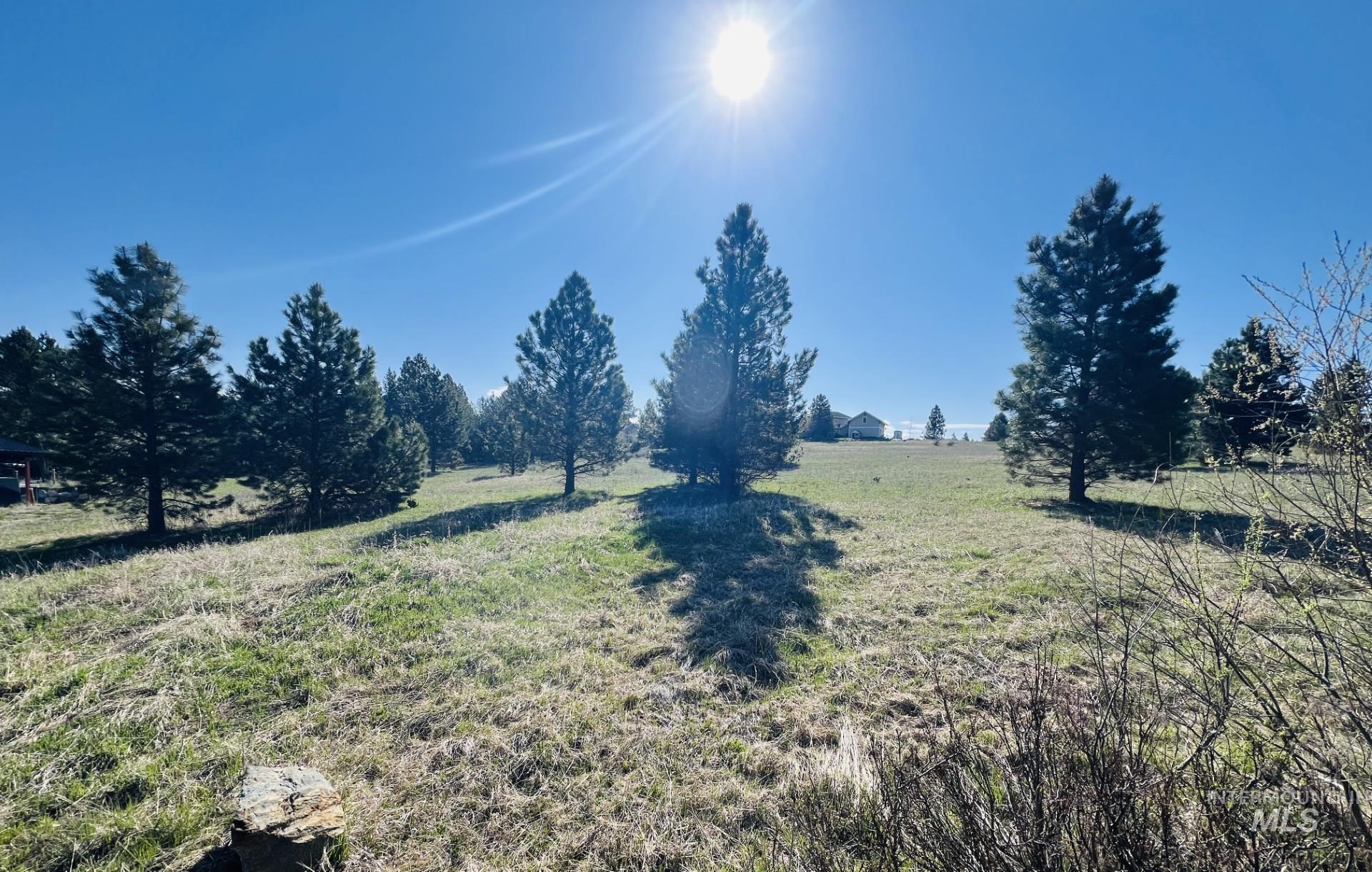 38 Tranquility, McCall, Idaho 83638-0000, Land For Sale, Price $250,000, 98986601